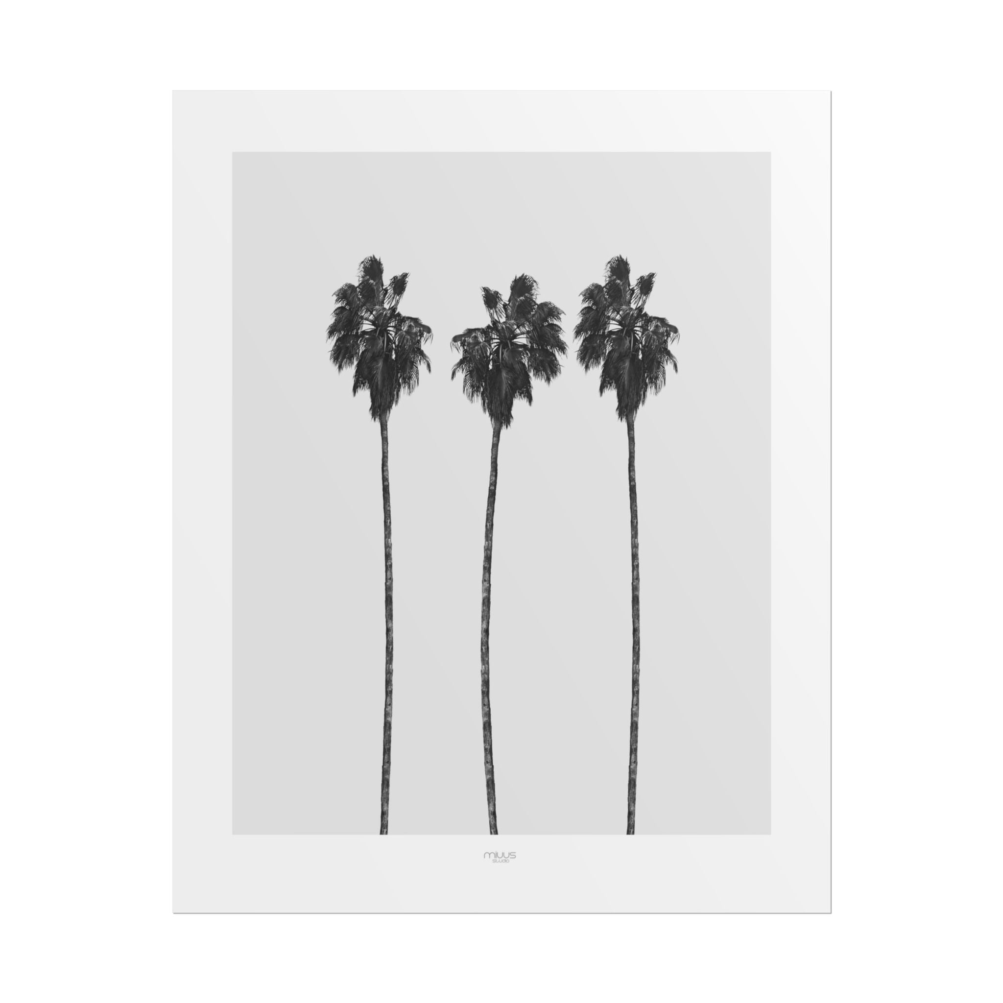 Silver Coast Palm Trio - Poster