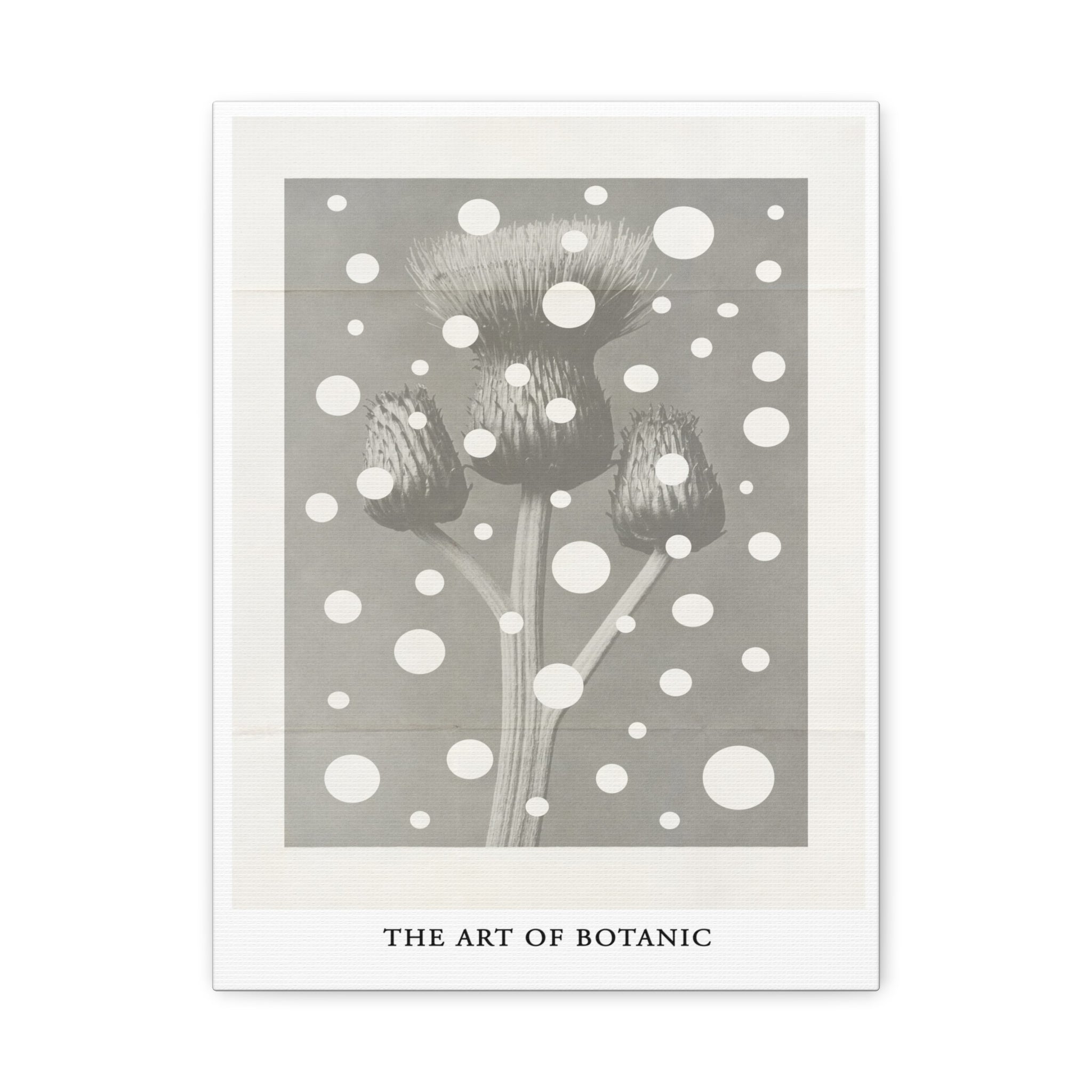 Winter Thistle Reverie - Canvas