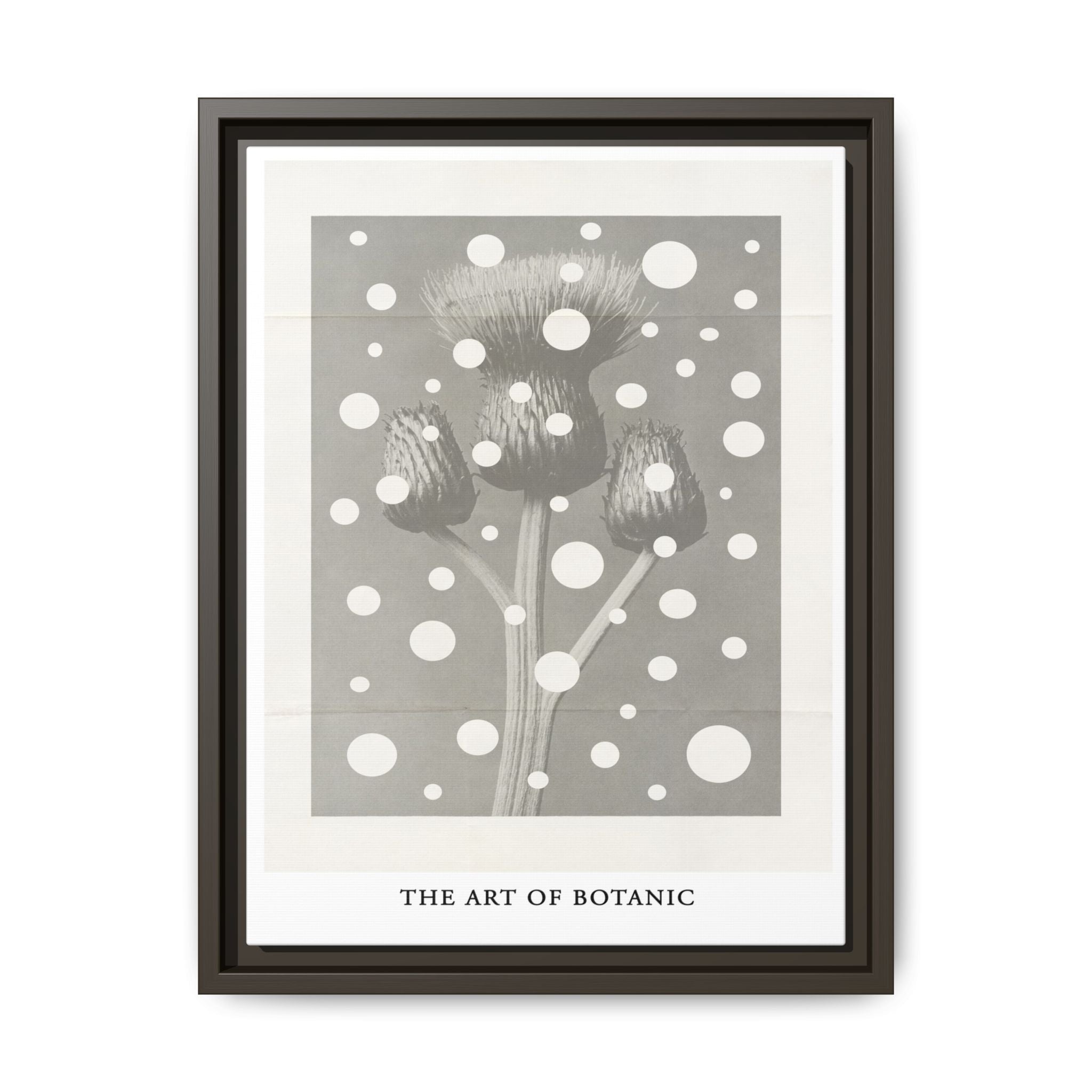 Winter Thistle Reverie - Framed