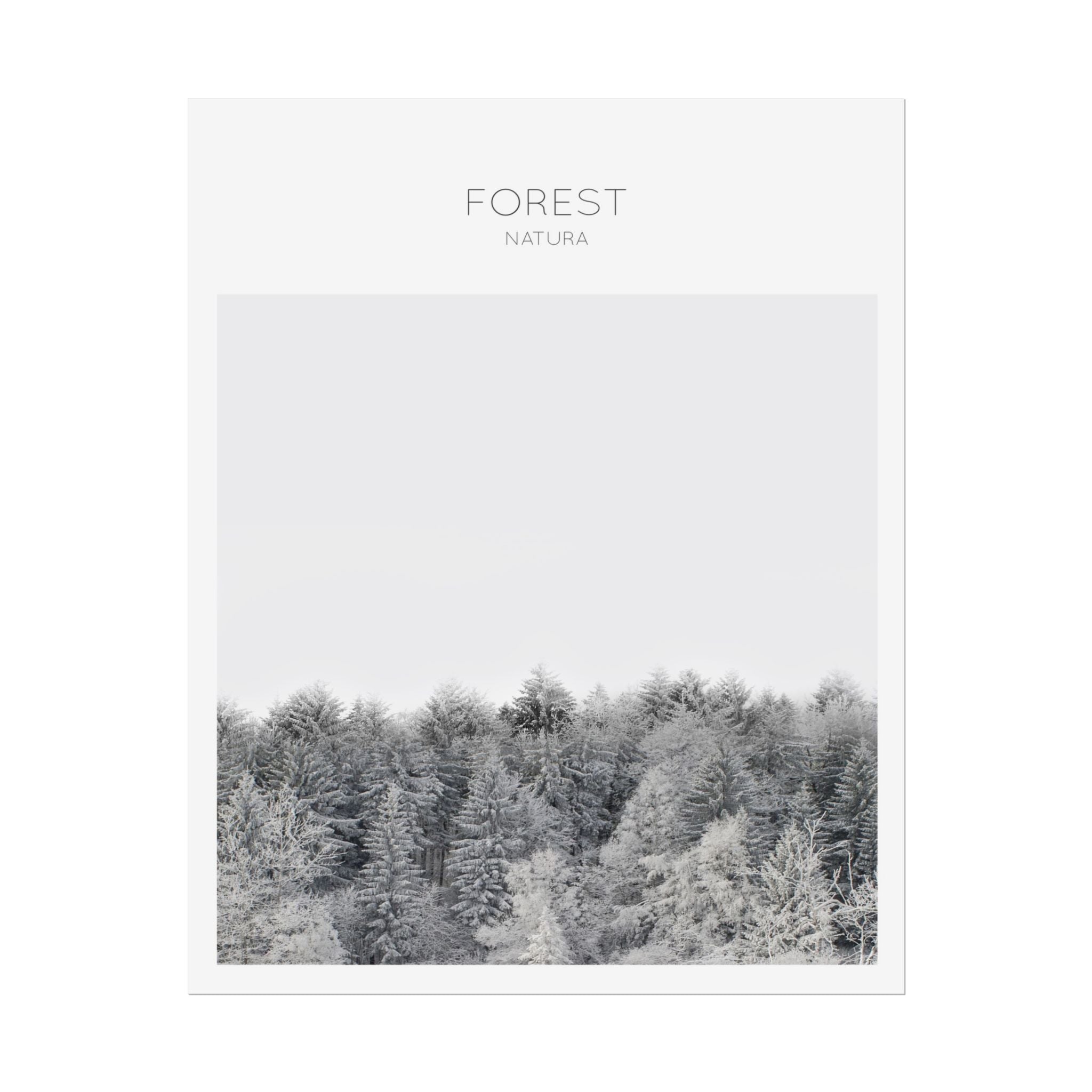 Silent Frost Canopy - Poster