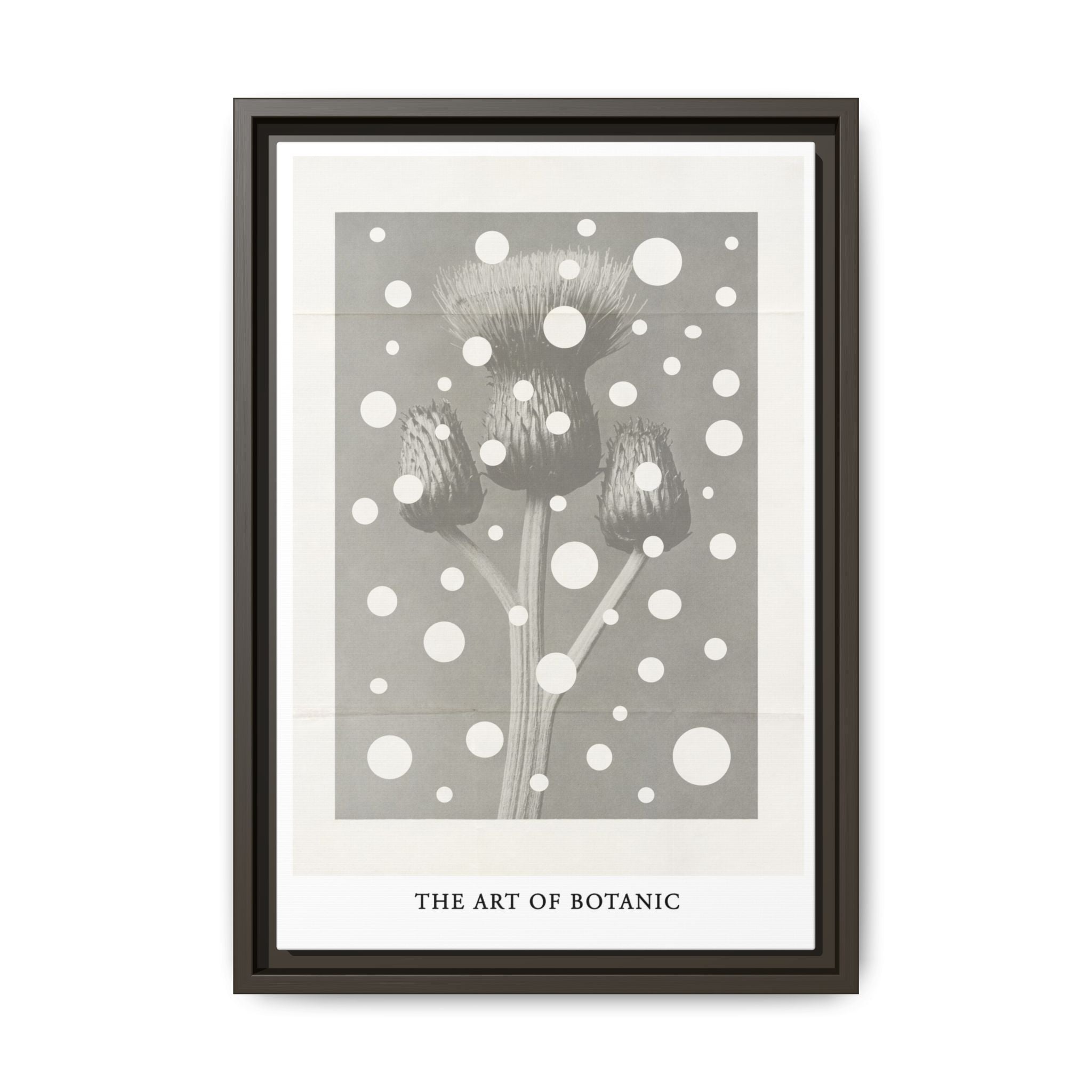 Winter Thistle Reverie - Framed
