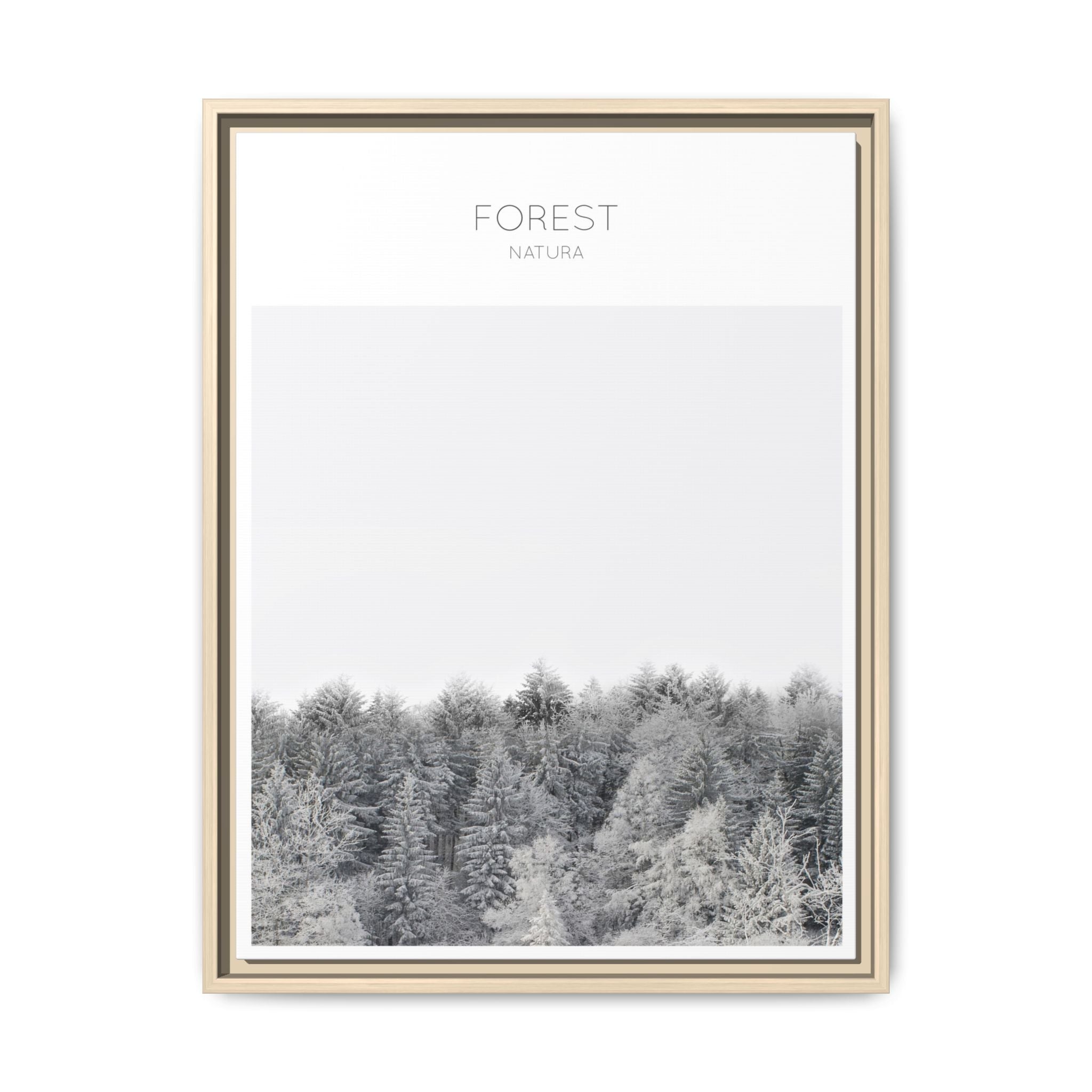Silent Frost Canopy - Framed