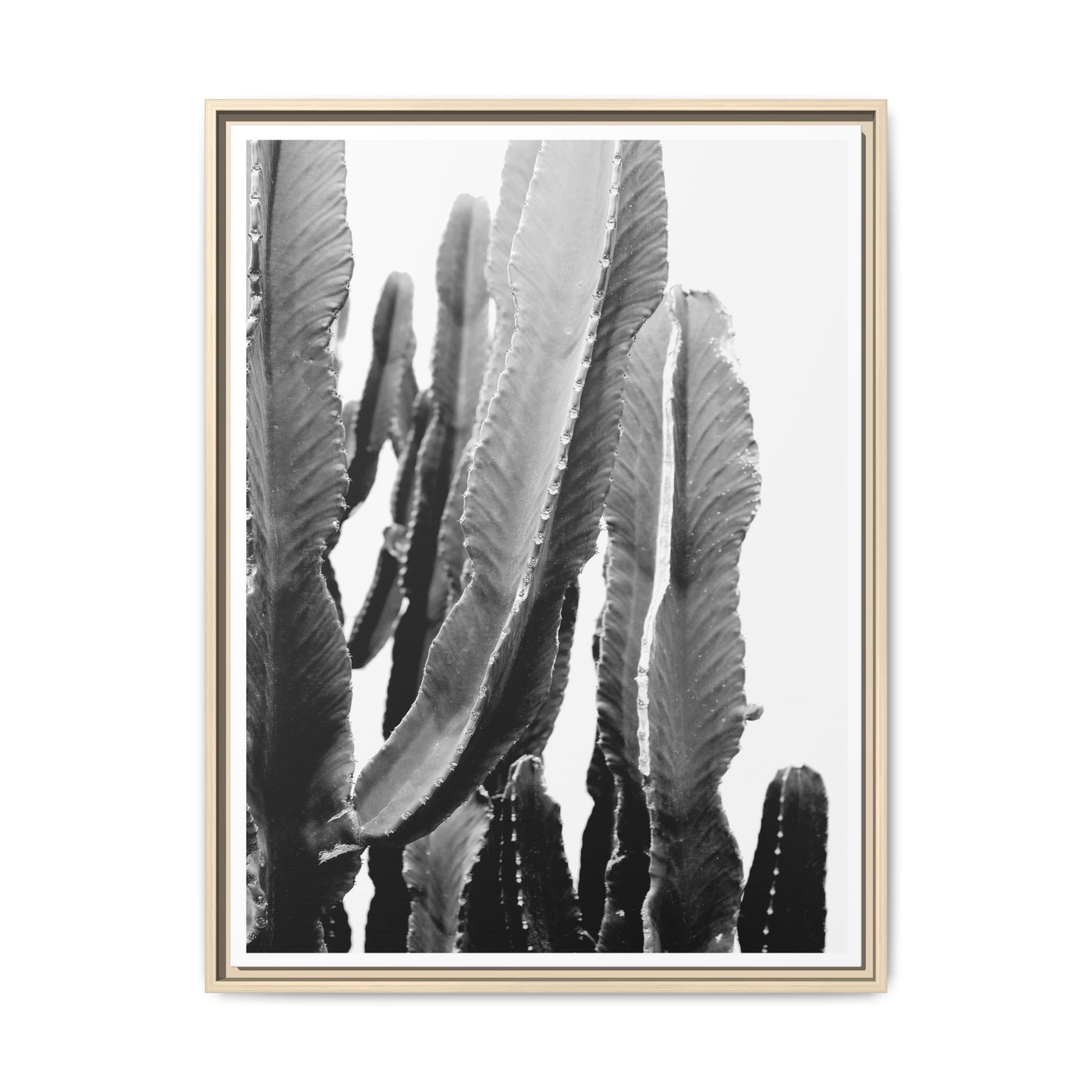 Monochrome Desert Veins - Framed