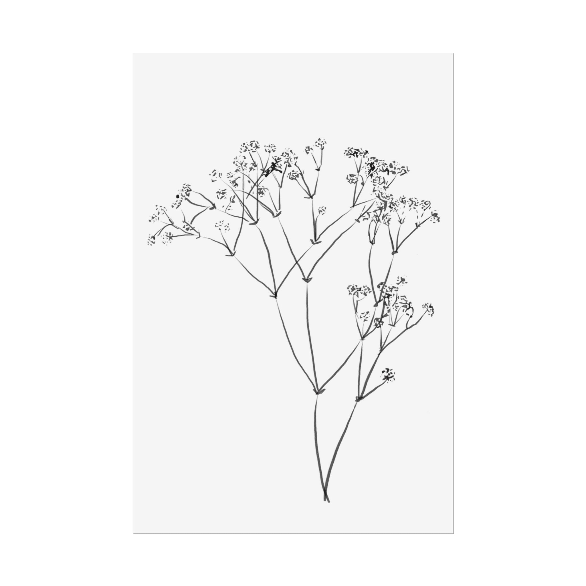Whispering Meadow Sketch - Poster