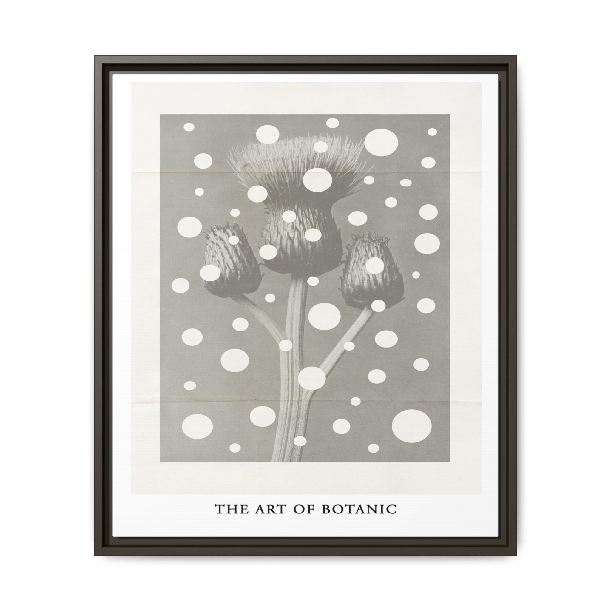 Winter Thistle Reverie - Framed