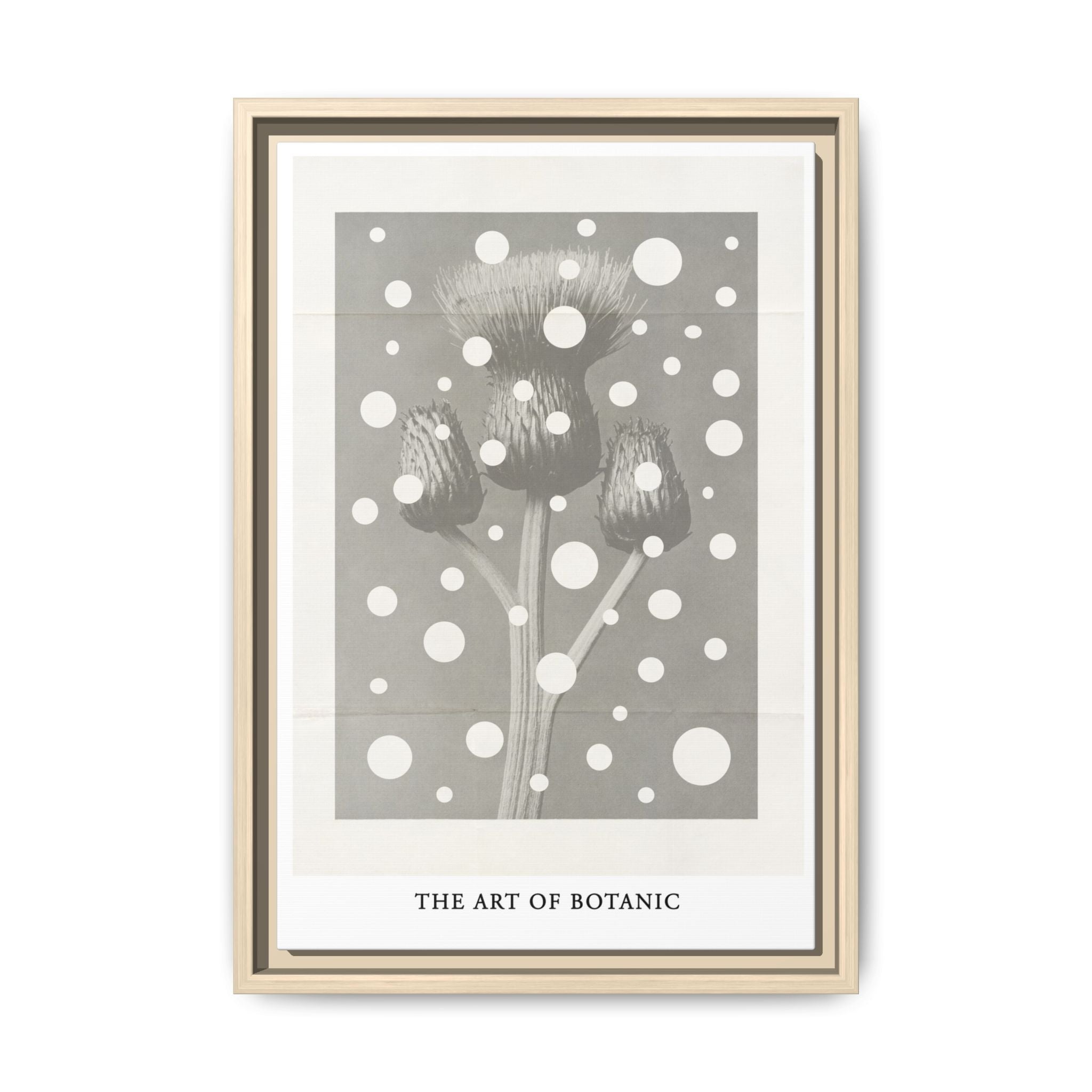 Winter Thistle Reverie - Framed