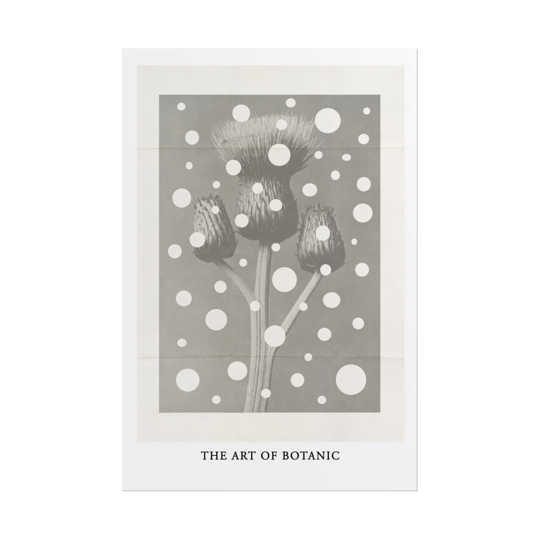 Winter Thistle Reverie - Poster