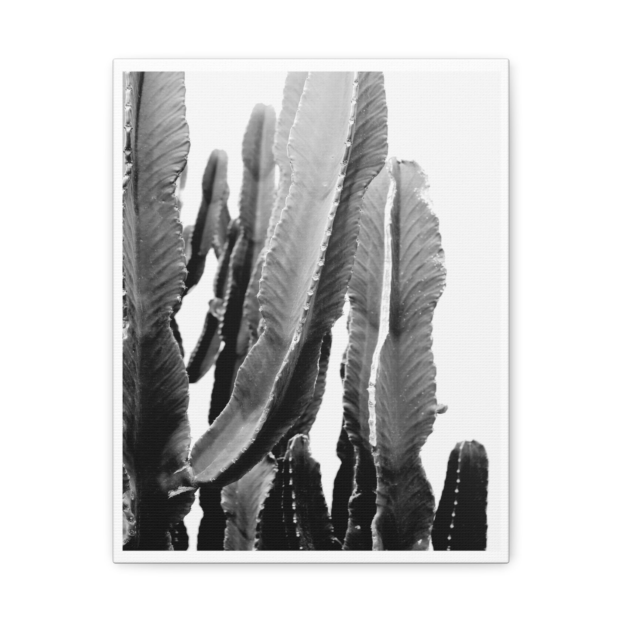 Monochrome Desert Veins - Canvas