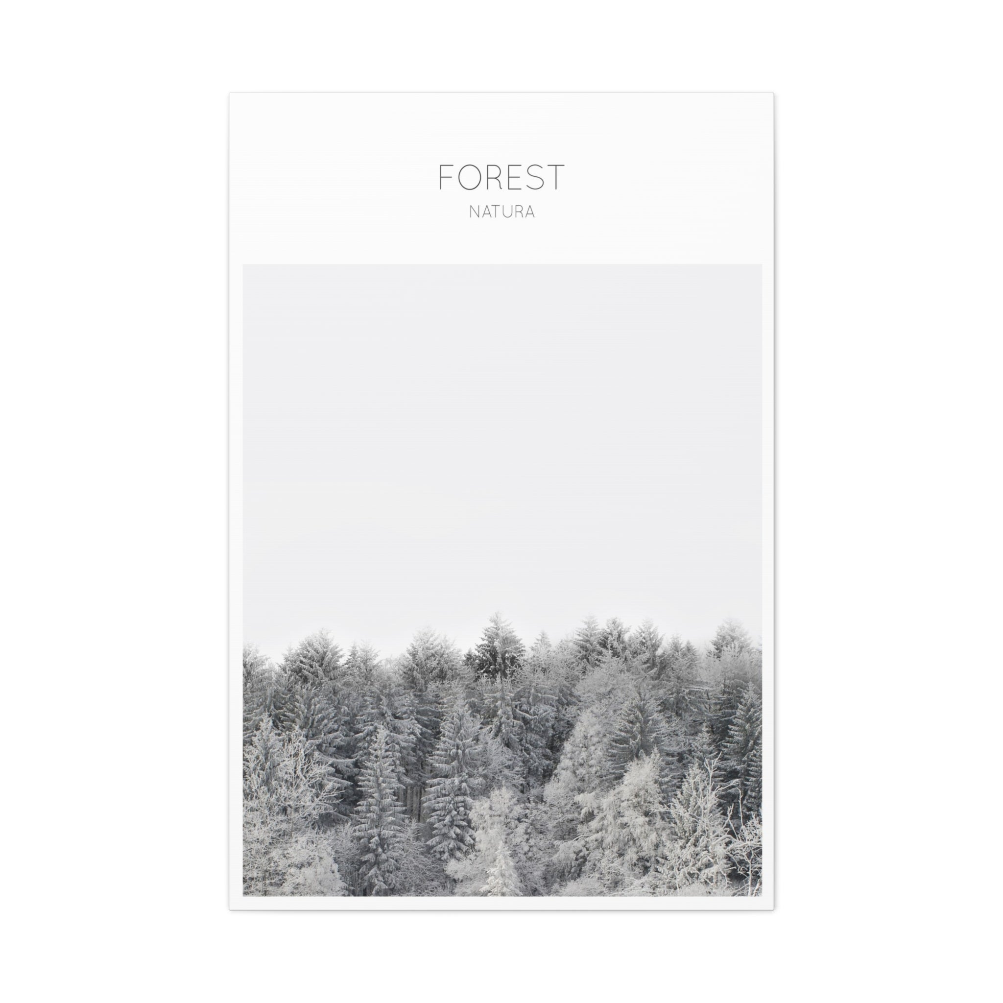 Silent Frost Canopy - Canvas