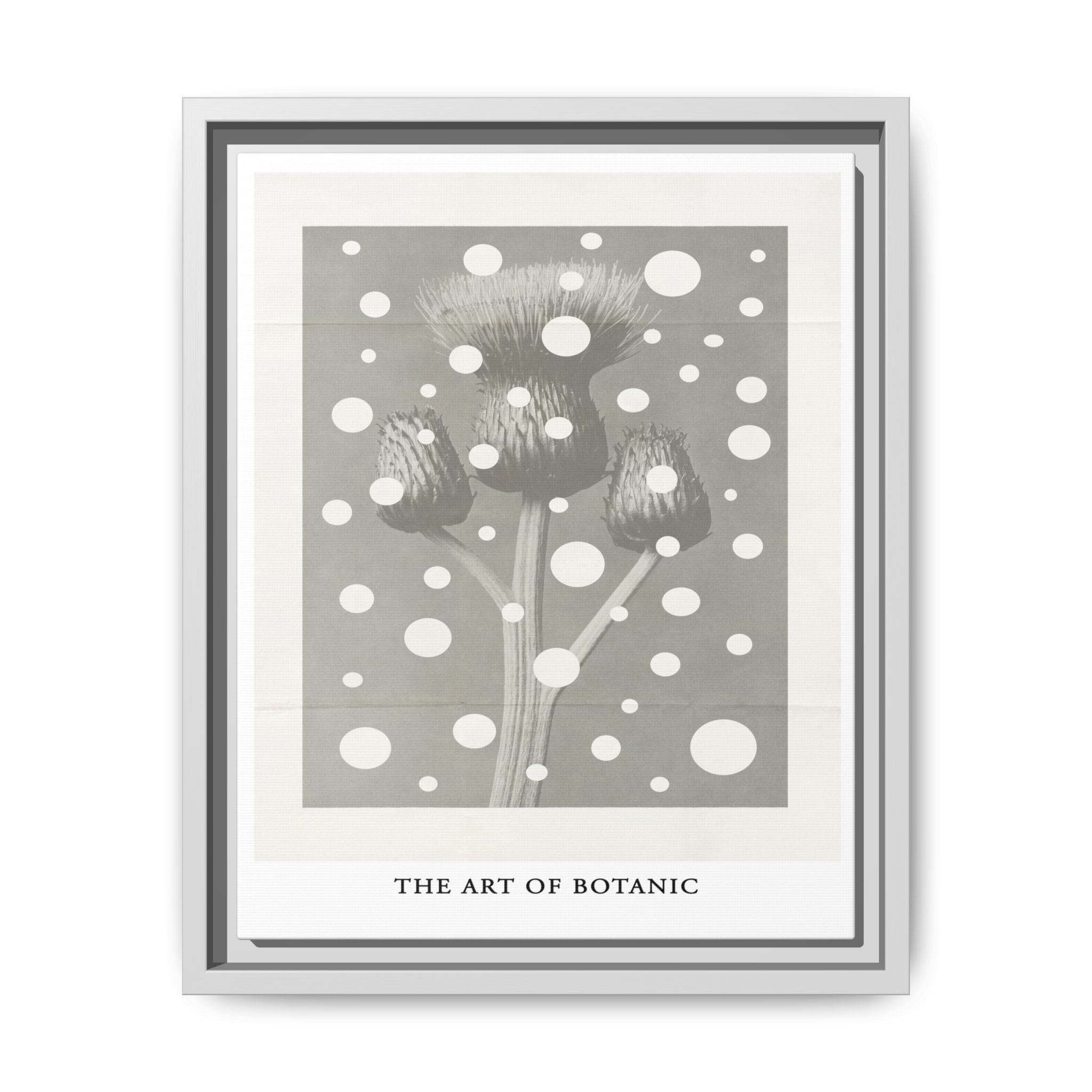 Winter Thistle Reverie - Framed