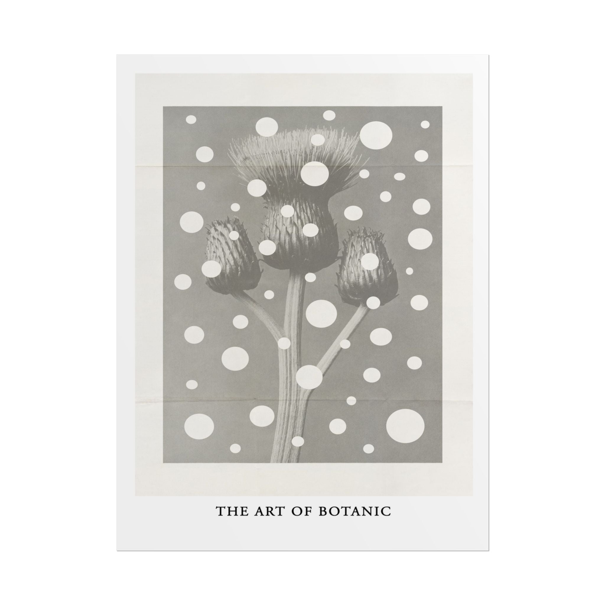 Winter Thistle Reverie - Poster