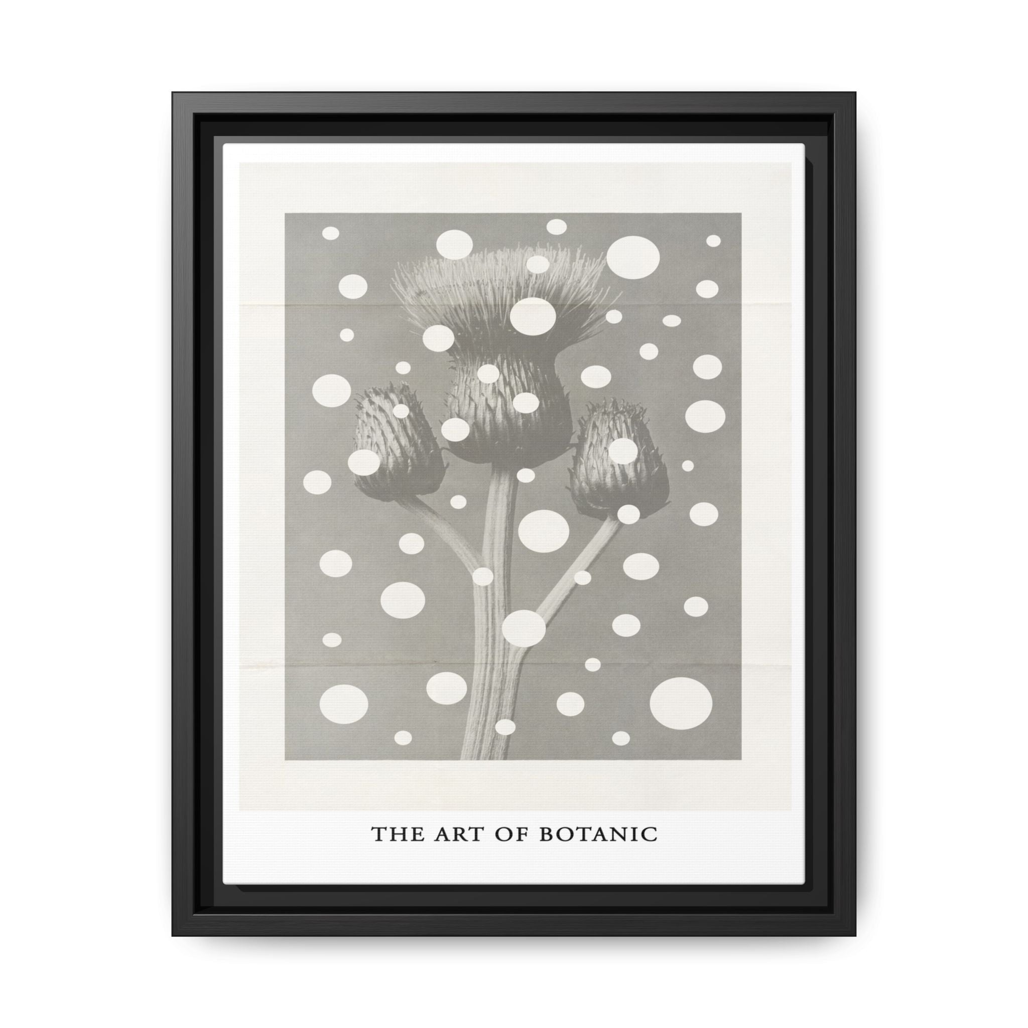 Winter Thistle Reverie - Framed