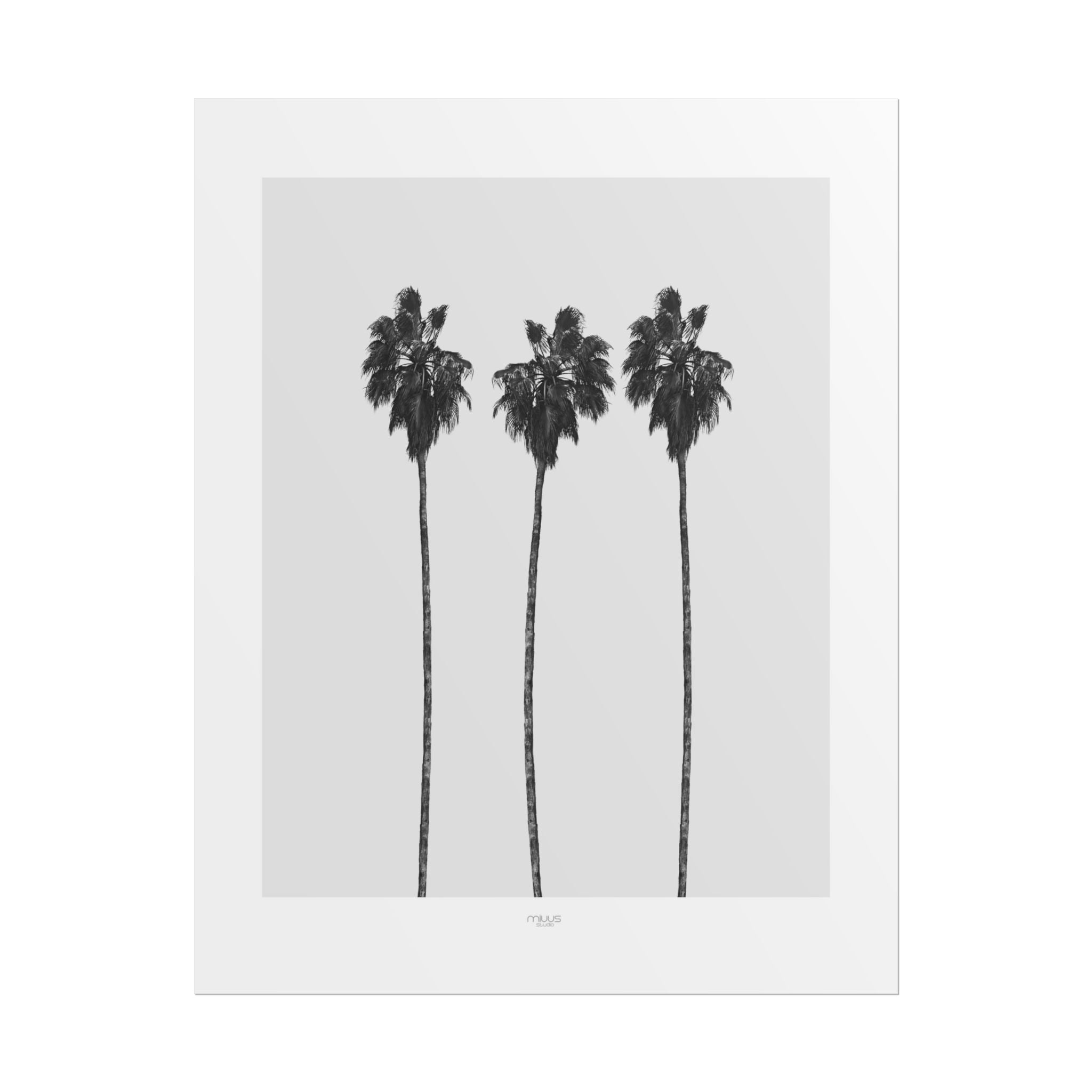 Silver Coast Palm Trio - Poster