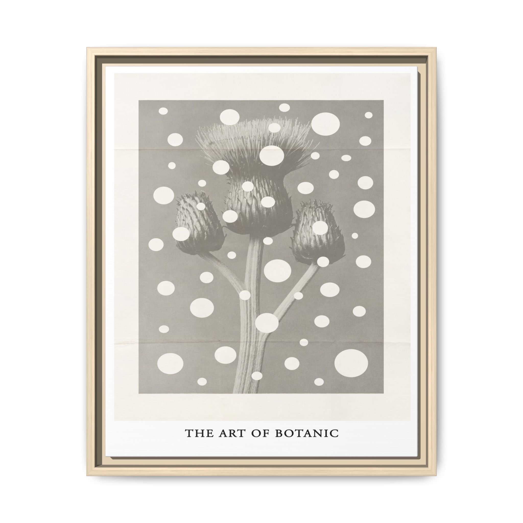 Winter Thistle Reverie - Framed