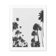 Midnight Palm Reverie - Canvas