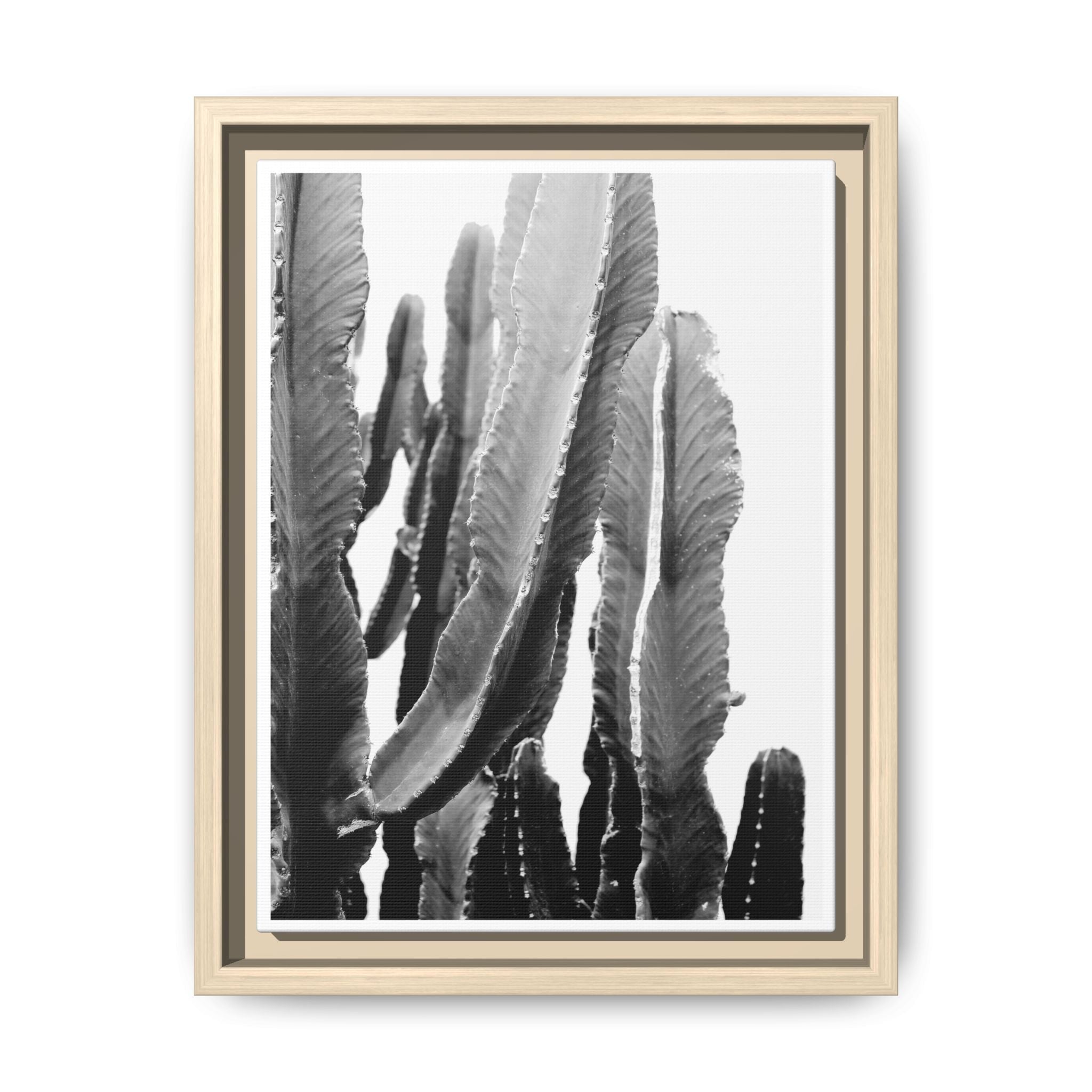Monochrome Desert Veins - Framed