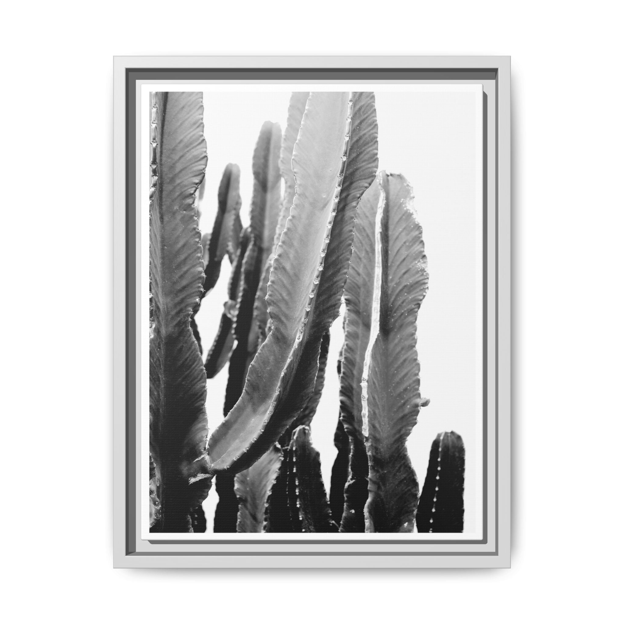 Monochrome Desert Veins - Framed