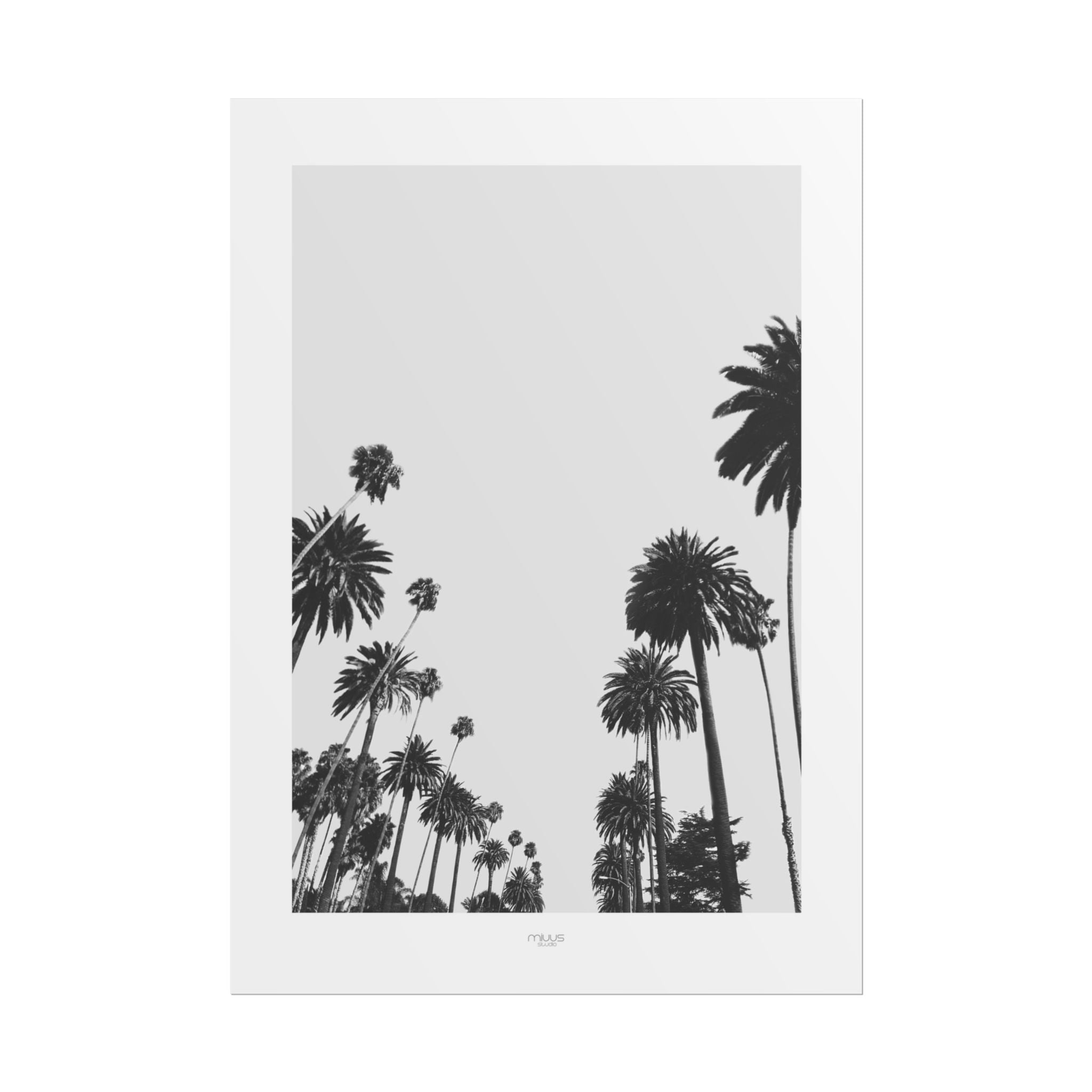 Midnight Palm Reverie - Poster