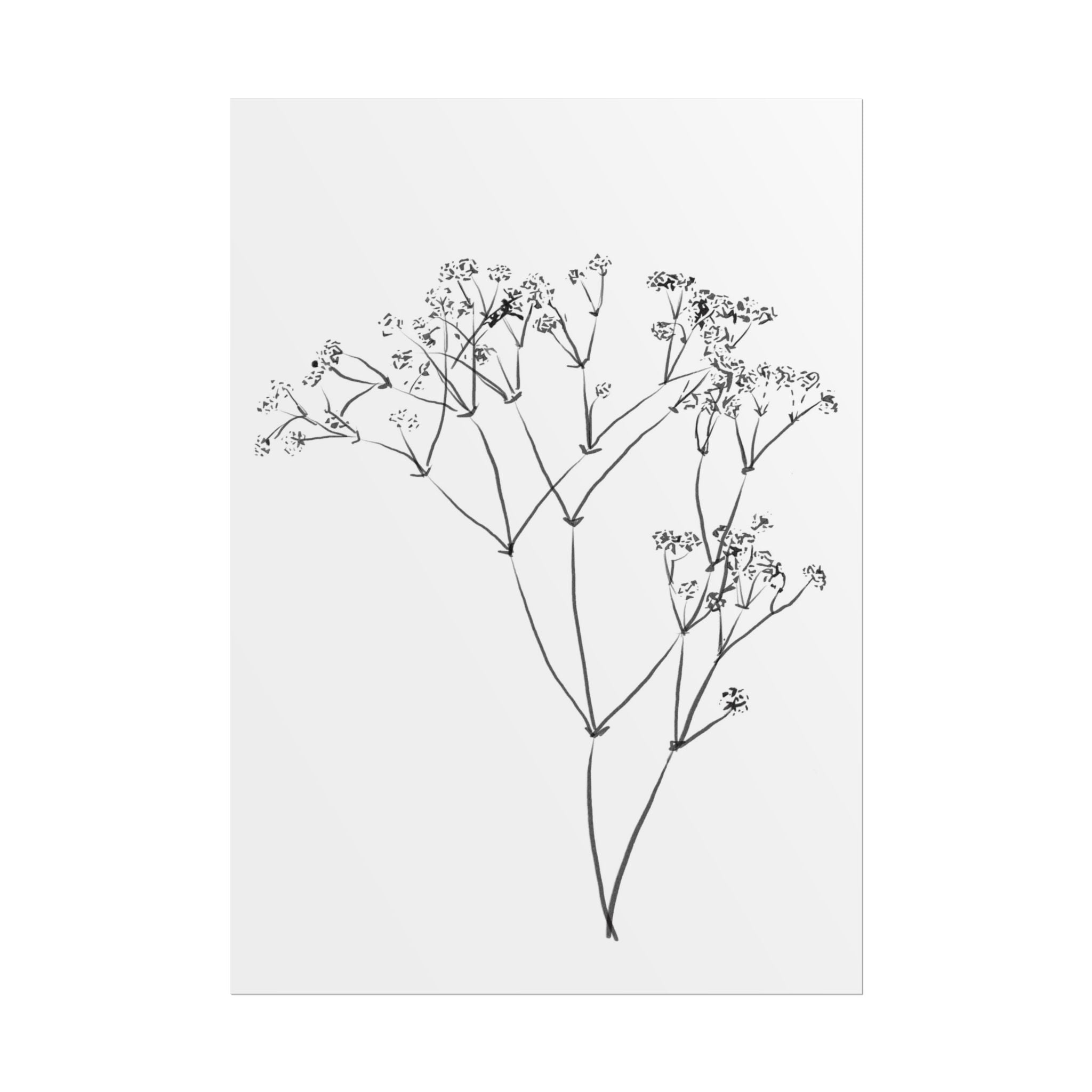 Whispering Meadow Sketch - Poster