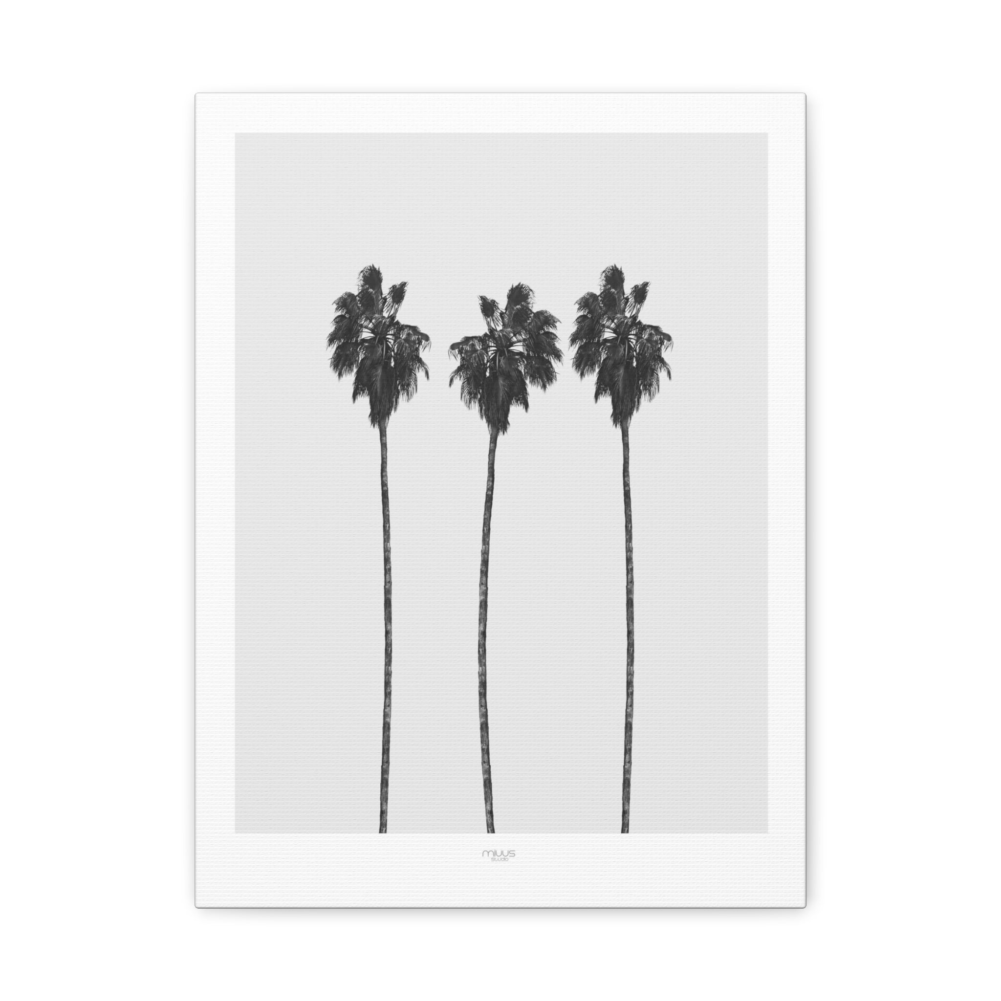 Silver Coast Palm Trio - Canvas