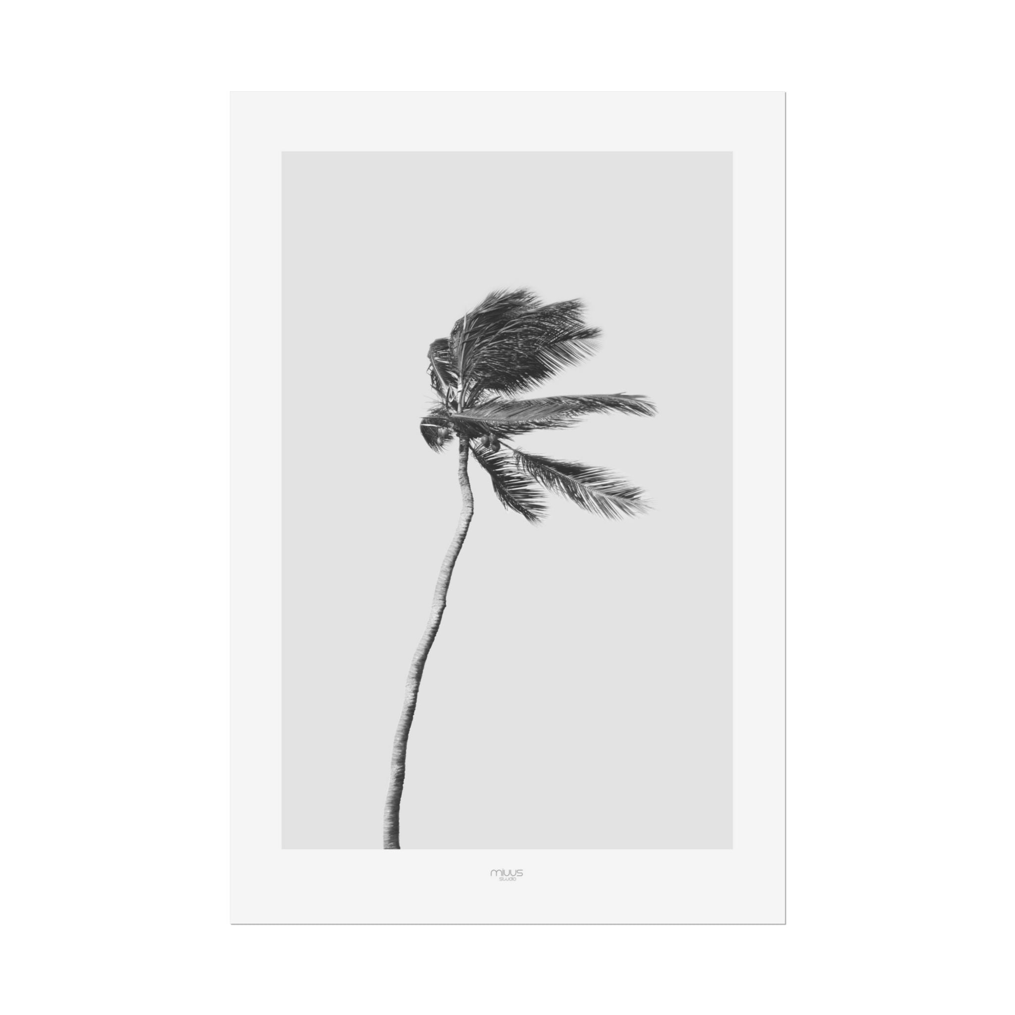Coastal Silence Sway - Poster