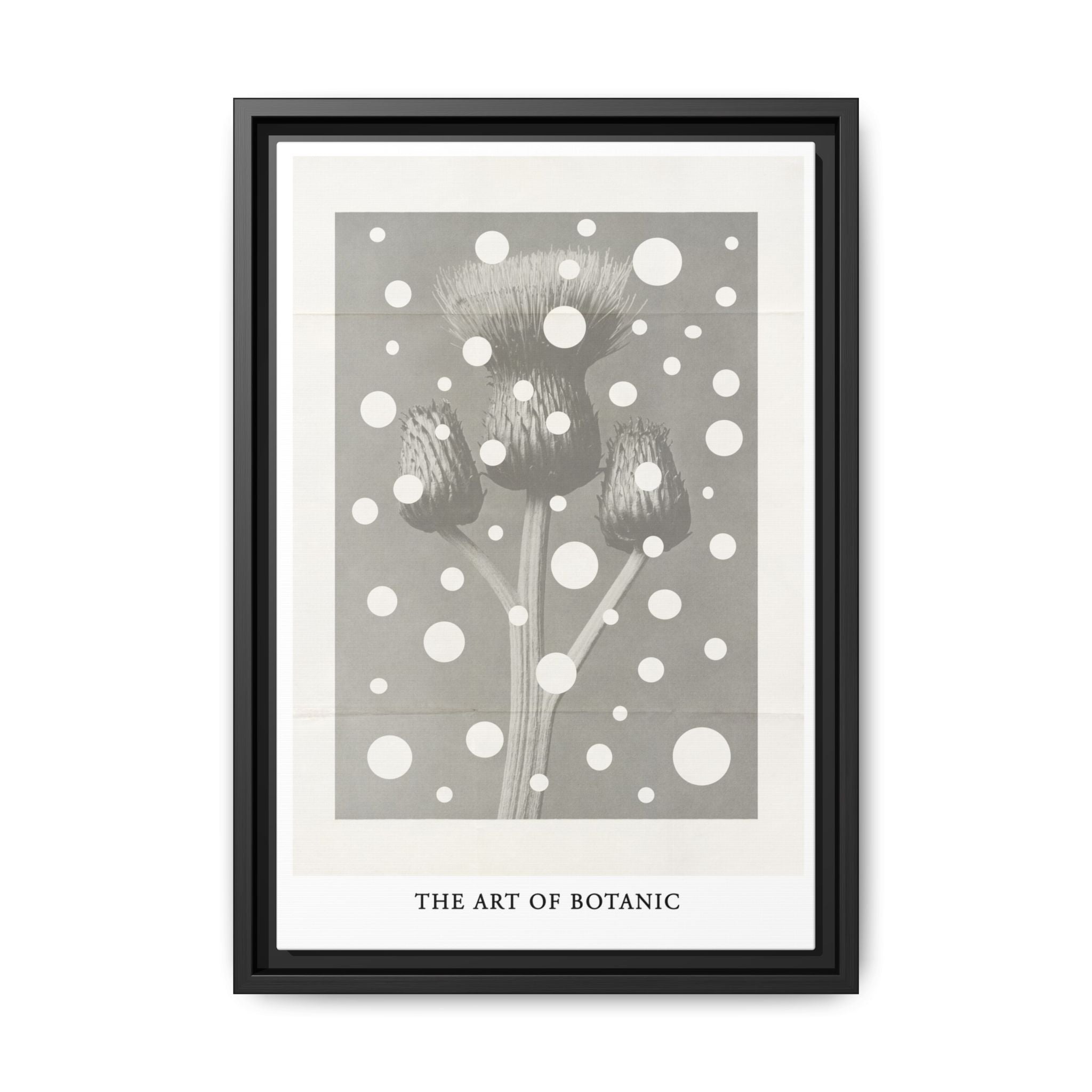 Winter Thistle Reverie - Framed