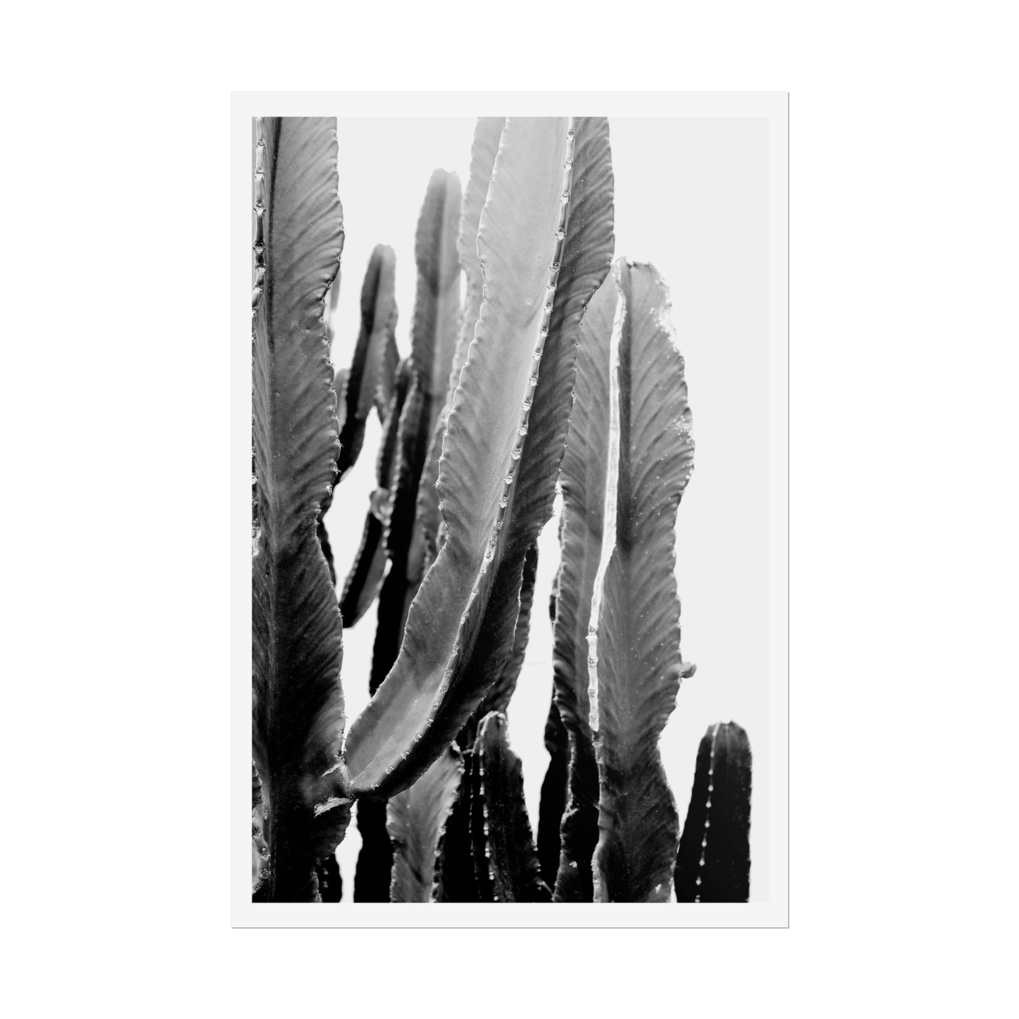 Monochrome Desert Veins - Poster
