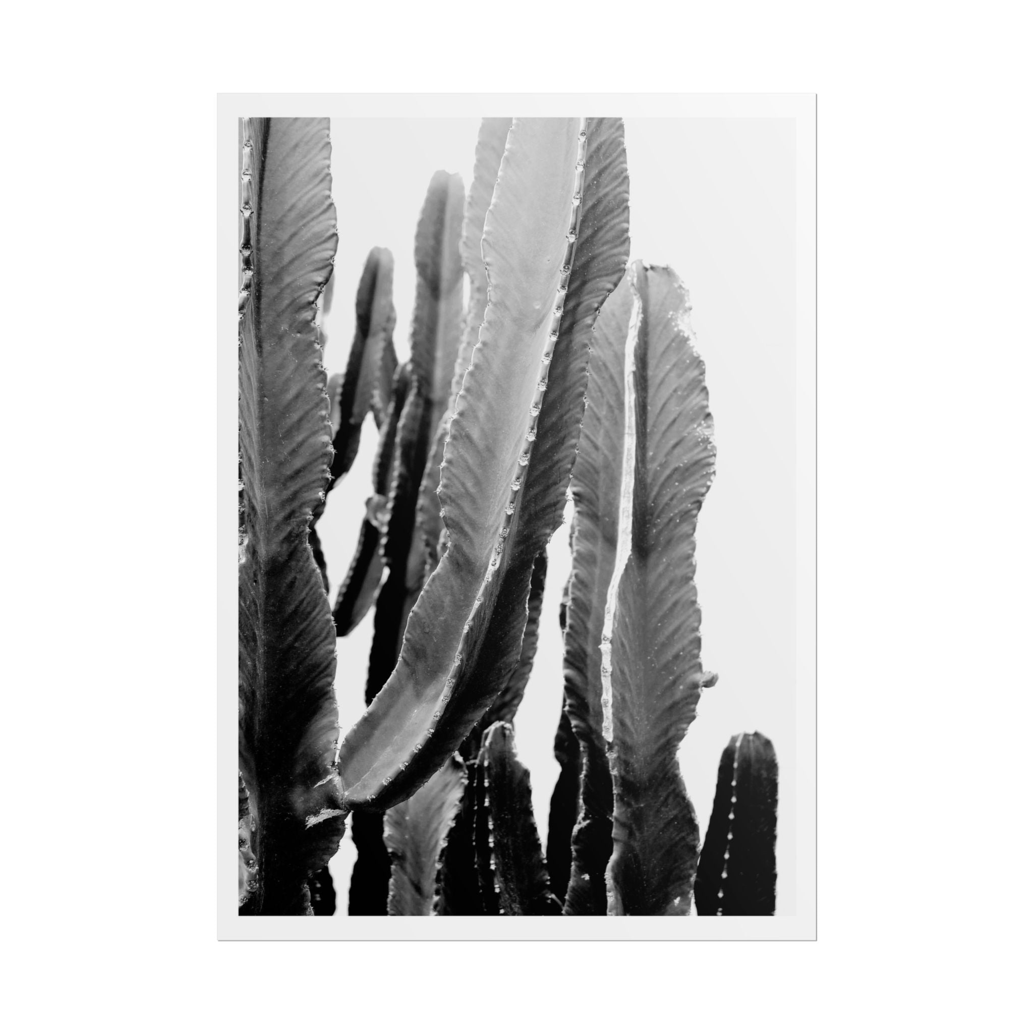 Monochrome Desert Veins - Poster