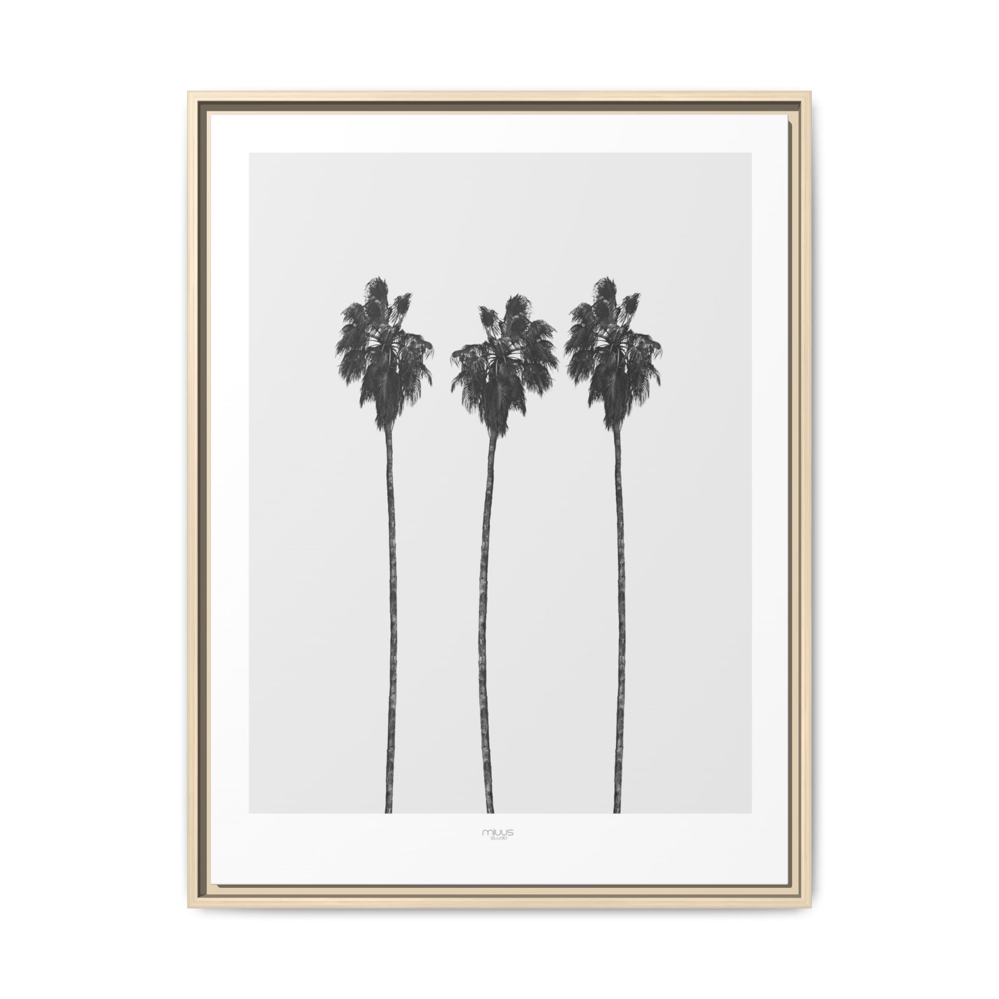 Silver Coast Palm Trio - Framed