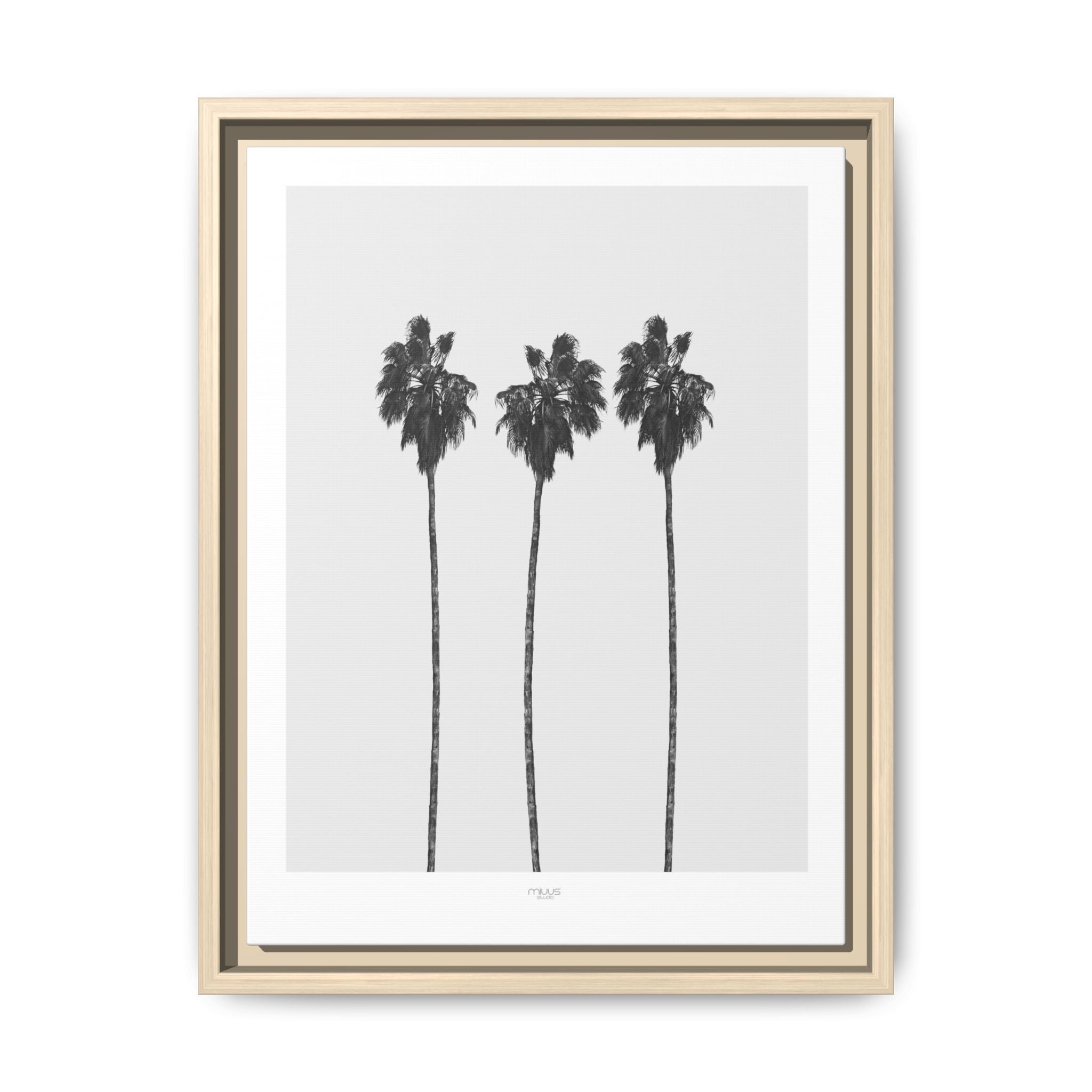 Silver Coast Palm Trio - Framed