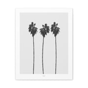 Silver Coast Palm Trio - Canvas