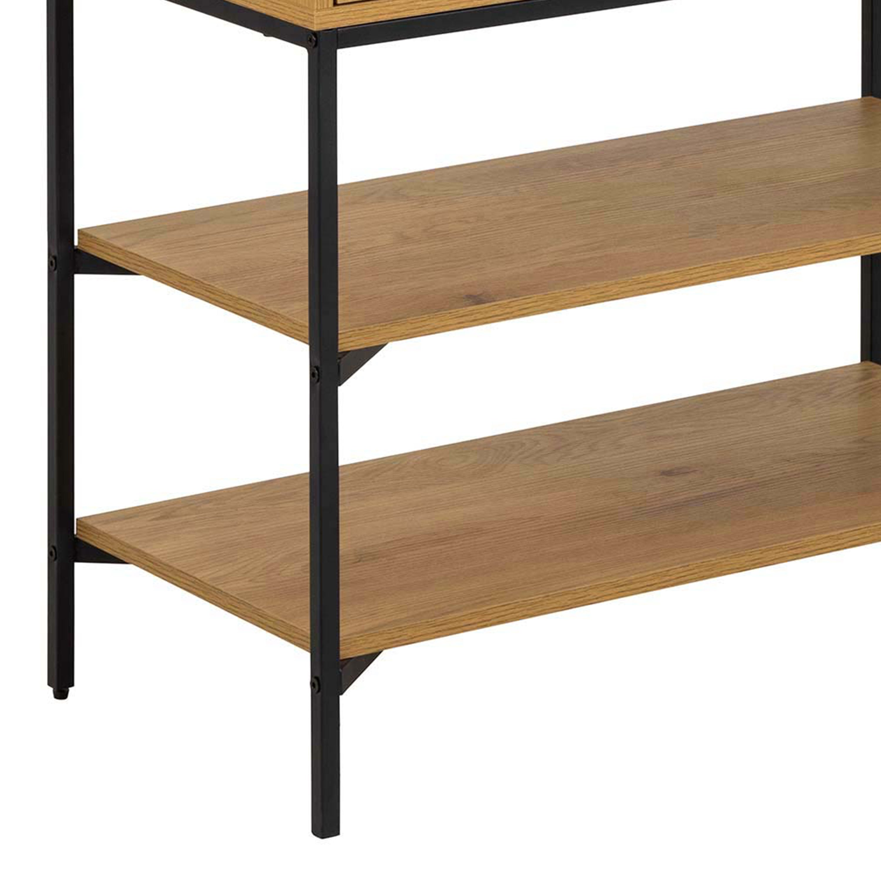Jaipur Cabinet with 2 Doors in Wild Oak