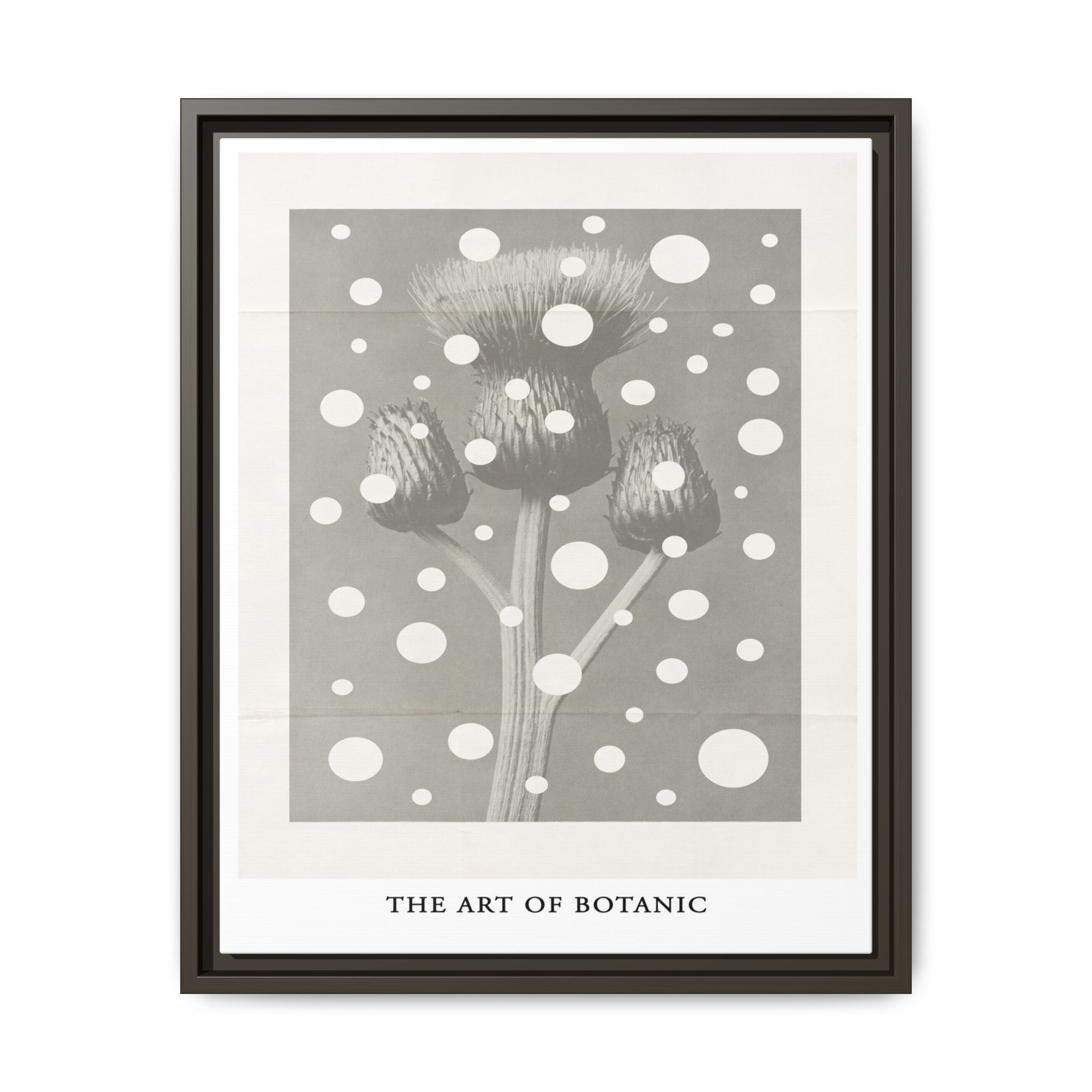 Winter Thistle Reverie - Framed