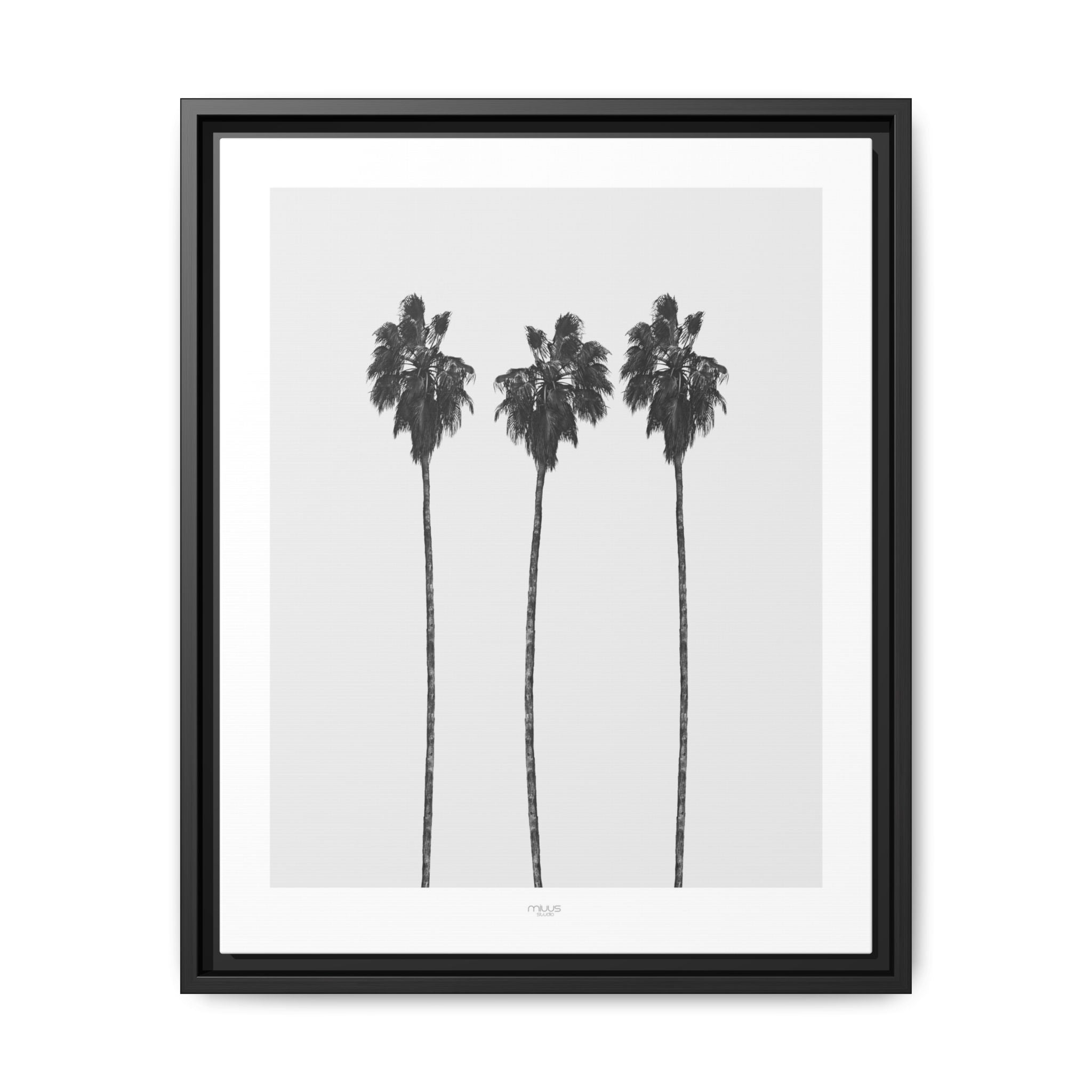 Silver Coast Palm Trio - Framed