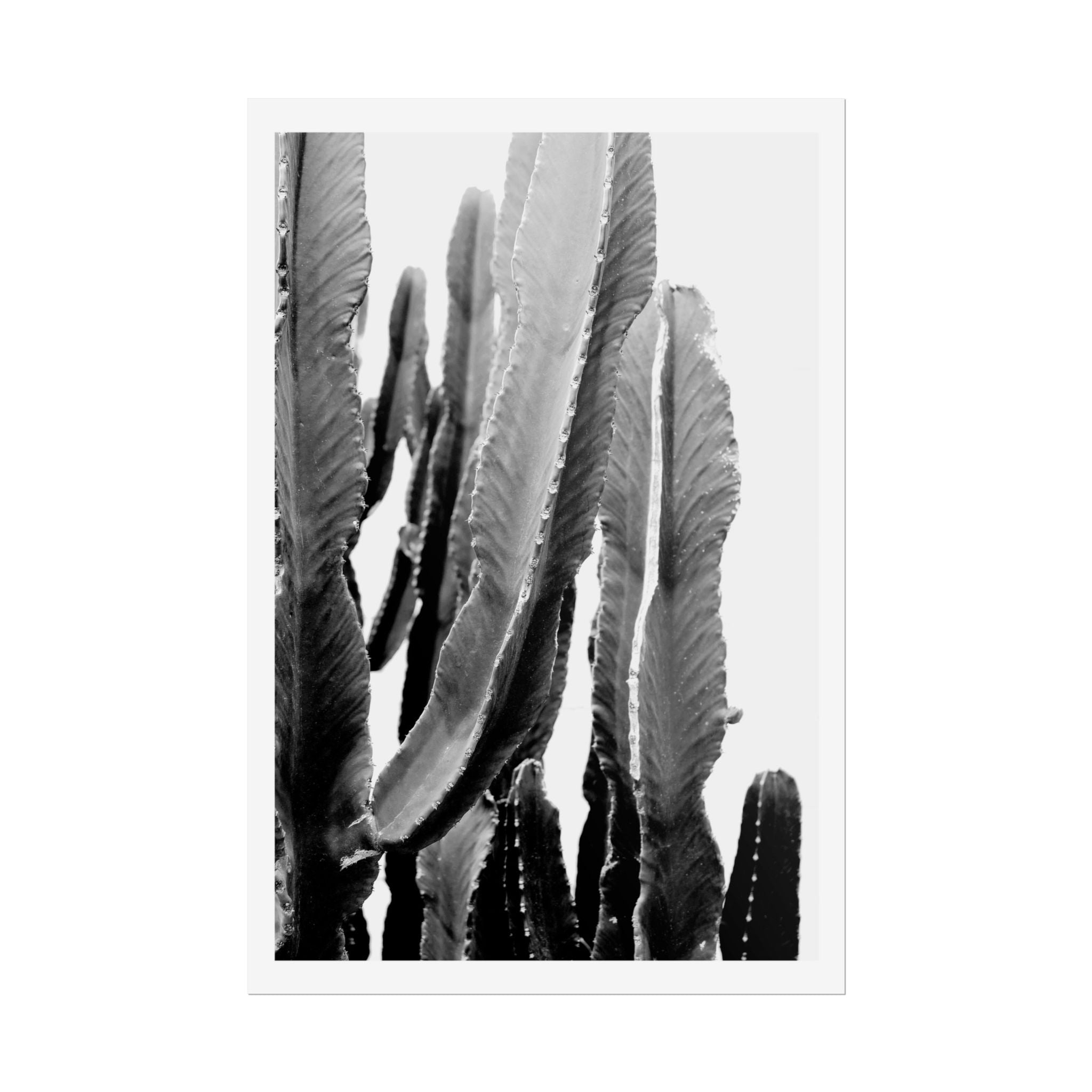 Monochrome Desert Veins - Poster