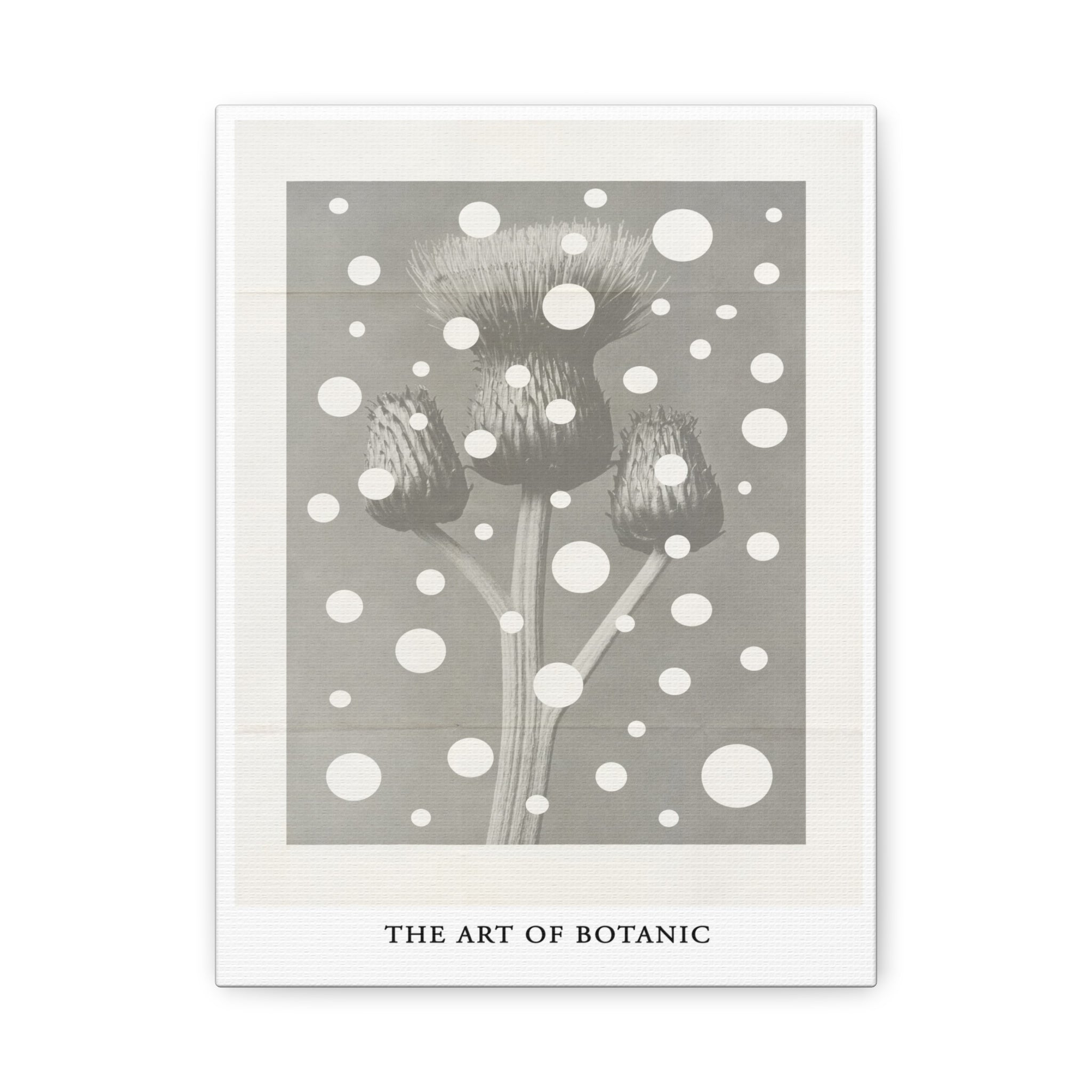 Winter Thistle Reverie - Canvas