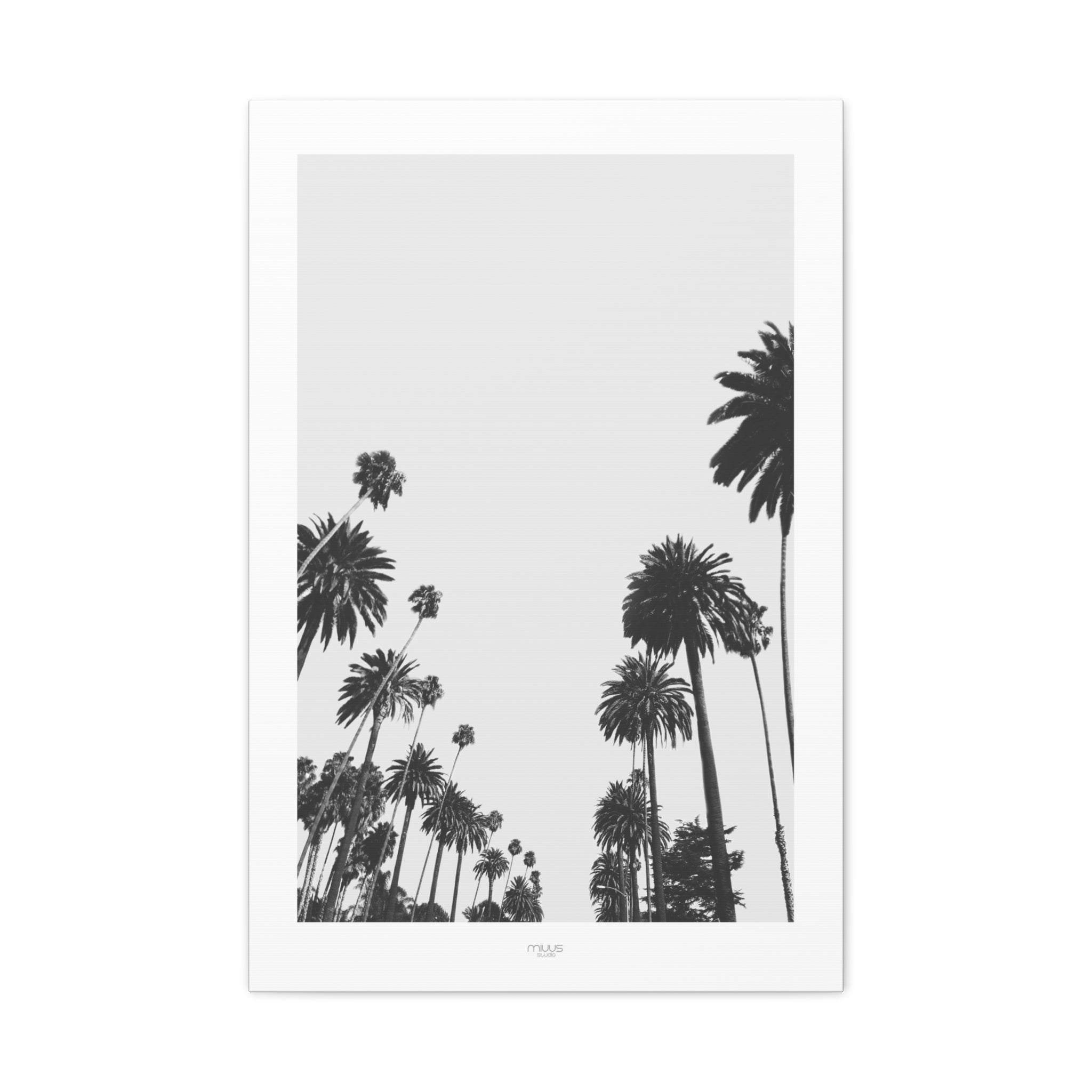 Midnight Palm Reverie - Canvas