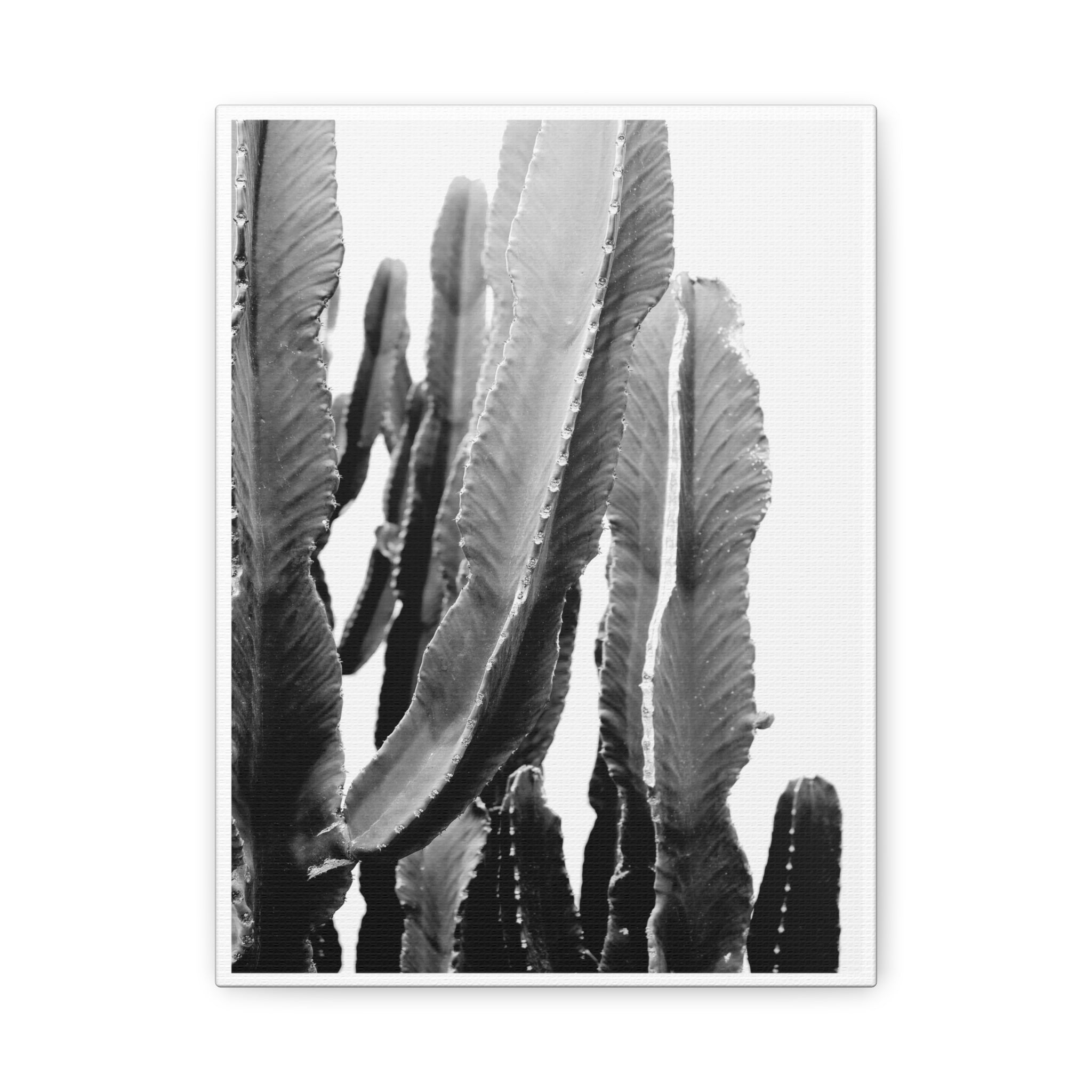 Monochrome Desert Veins - Canvas