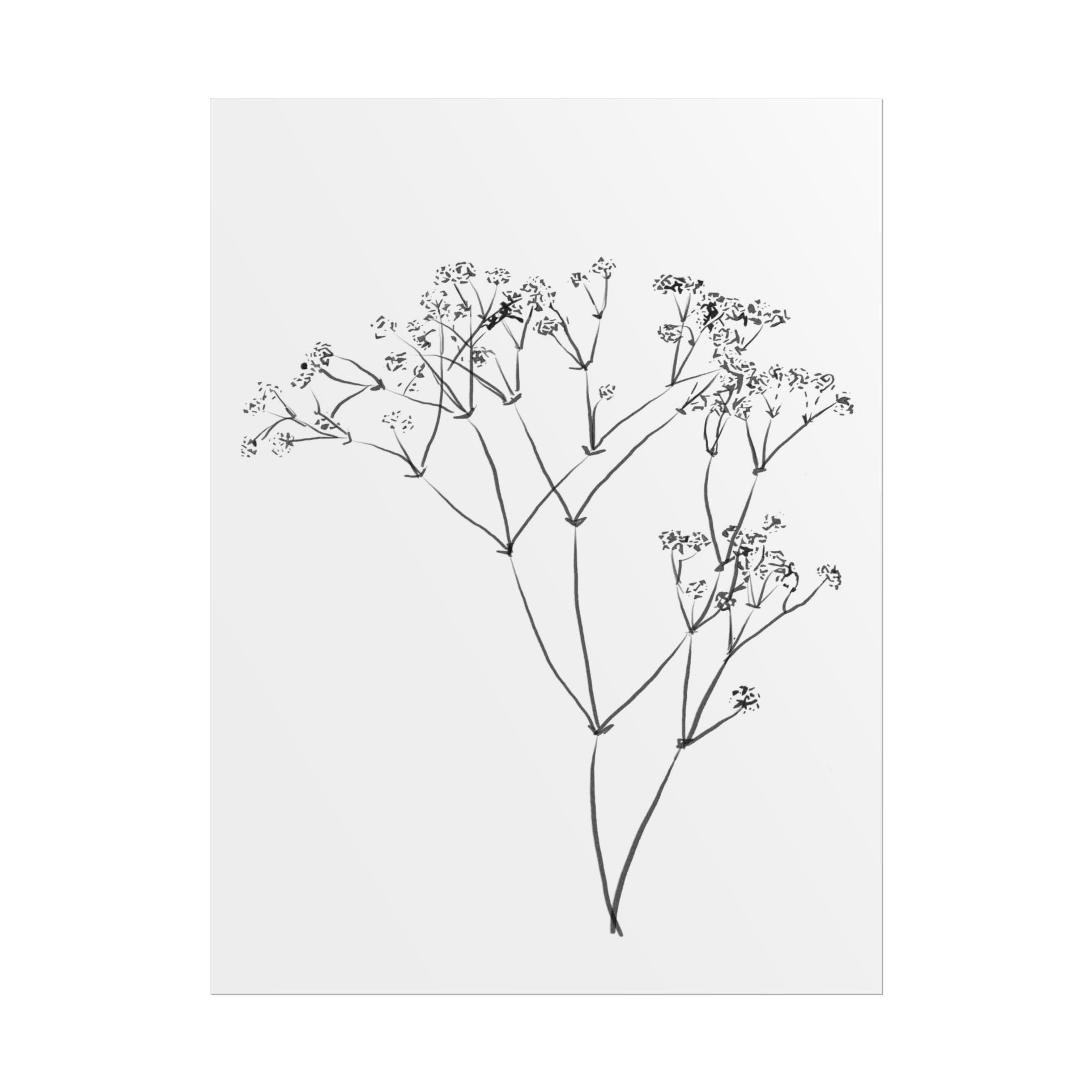 Whispering Meadow Sketch - Poster