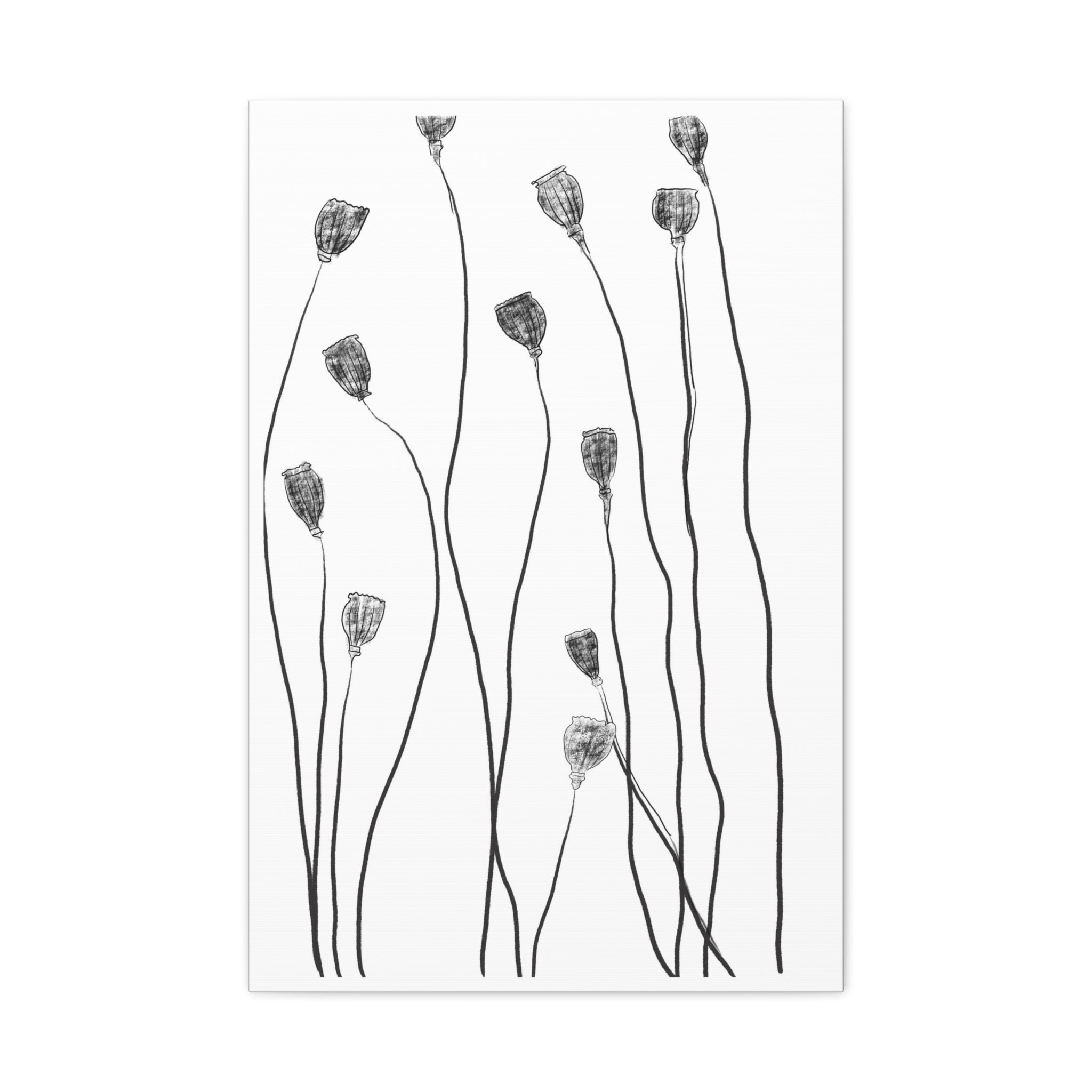 Midnight Seed Reverie - Canvas