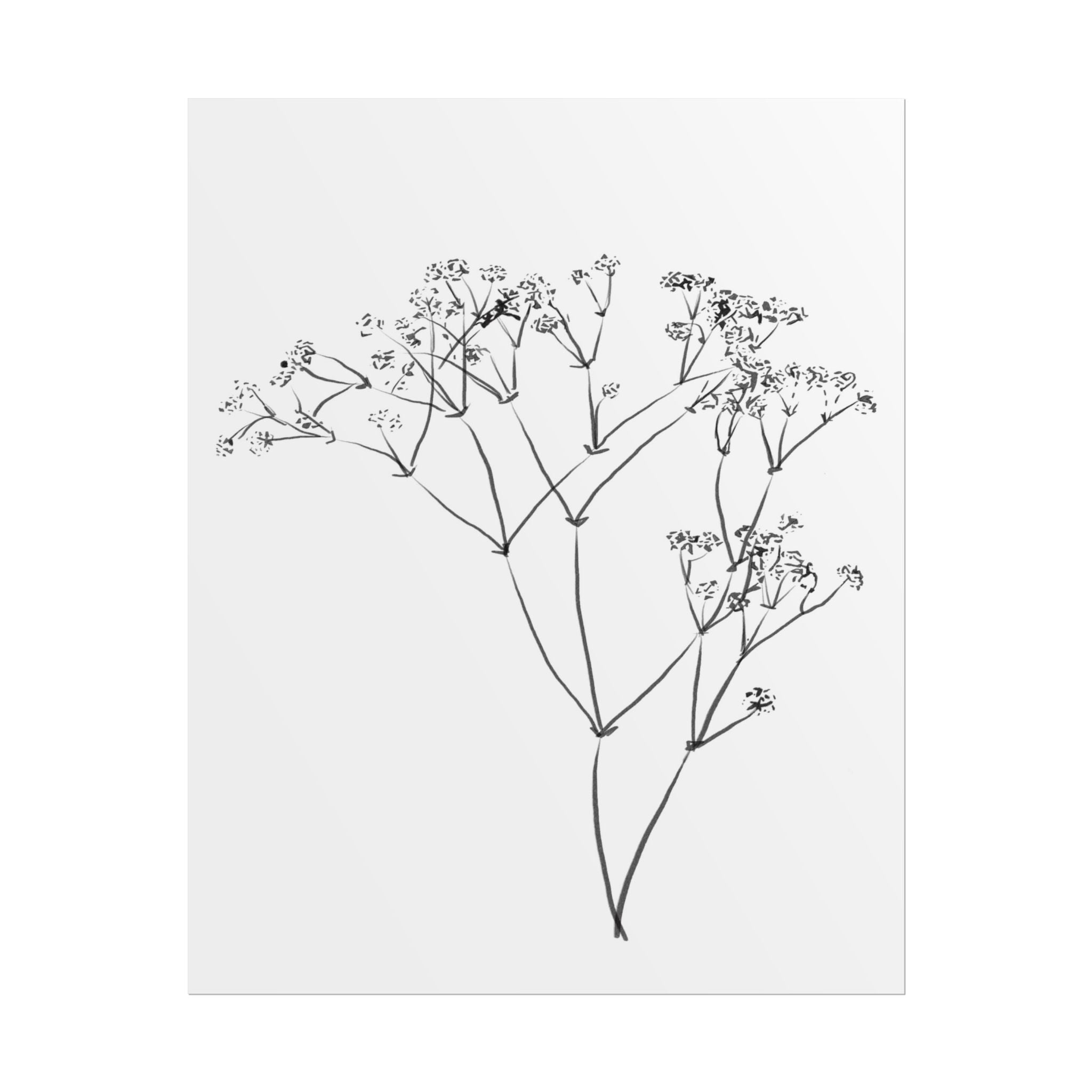 Whispering Meadow Sketch - Poster