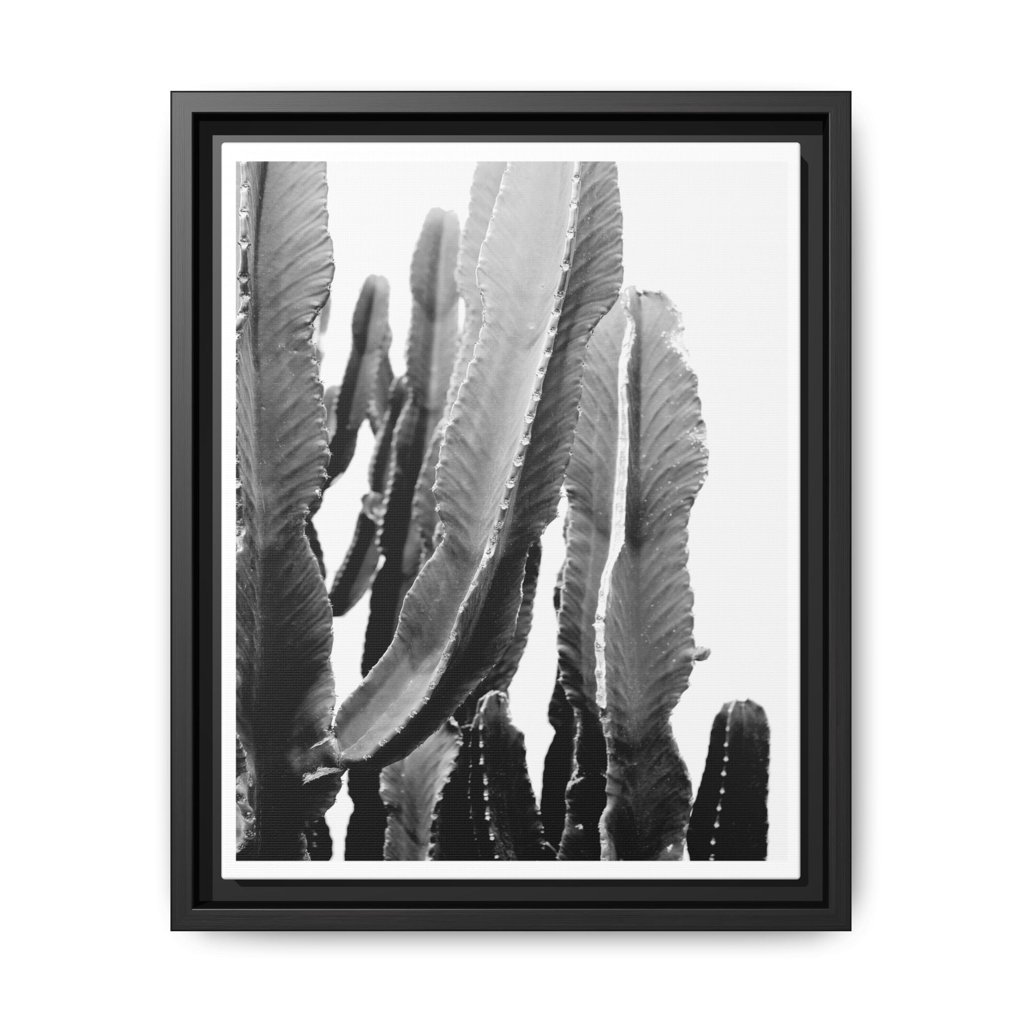 Monochrome Desert Veins - Framed