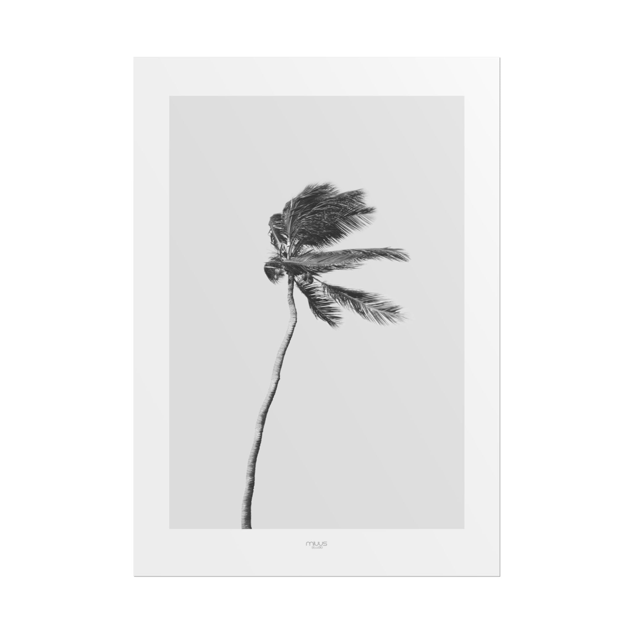 Coastal Silence Sway - Poster