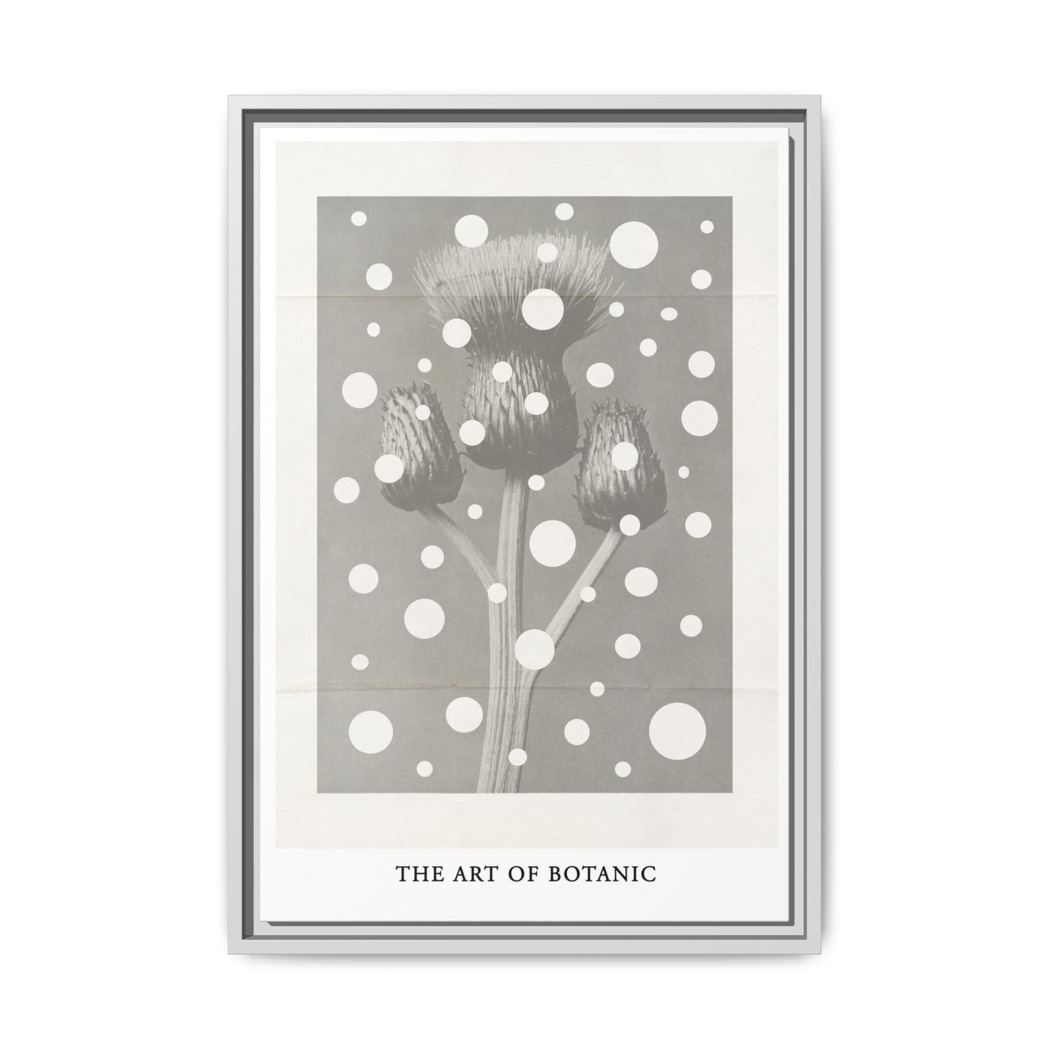 Winter Thistle Reverie - Framed