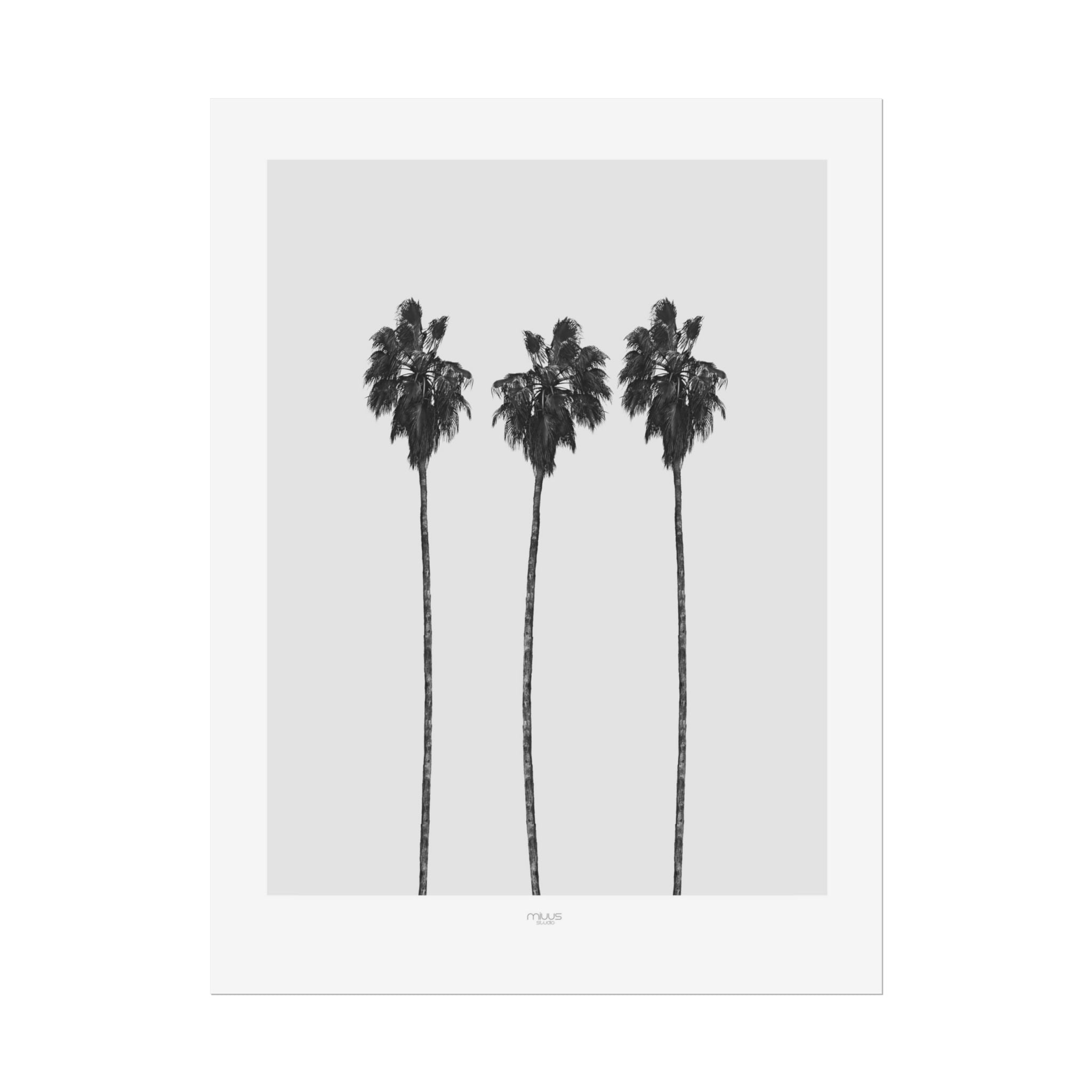 Silver Coast Palm Trio - Poster