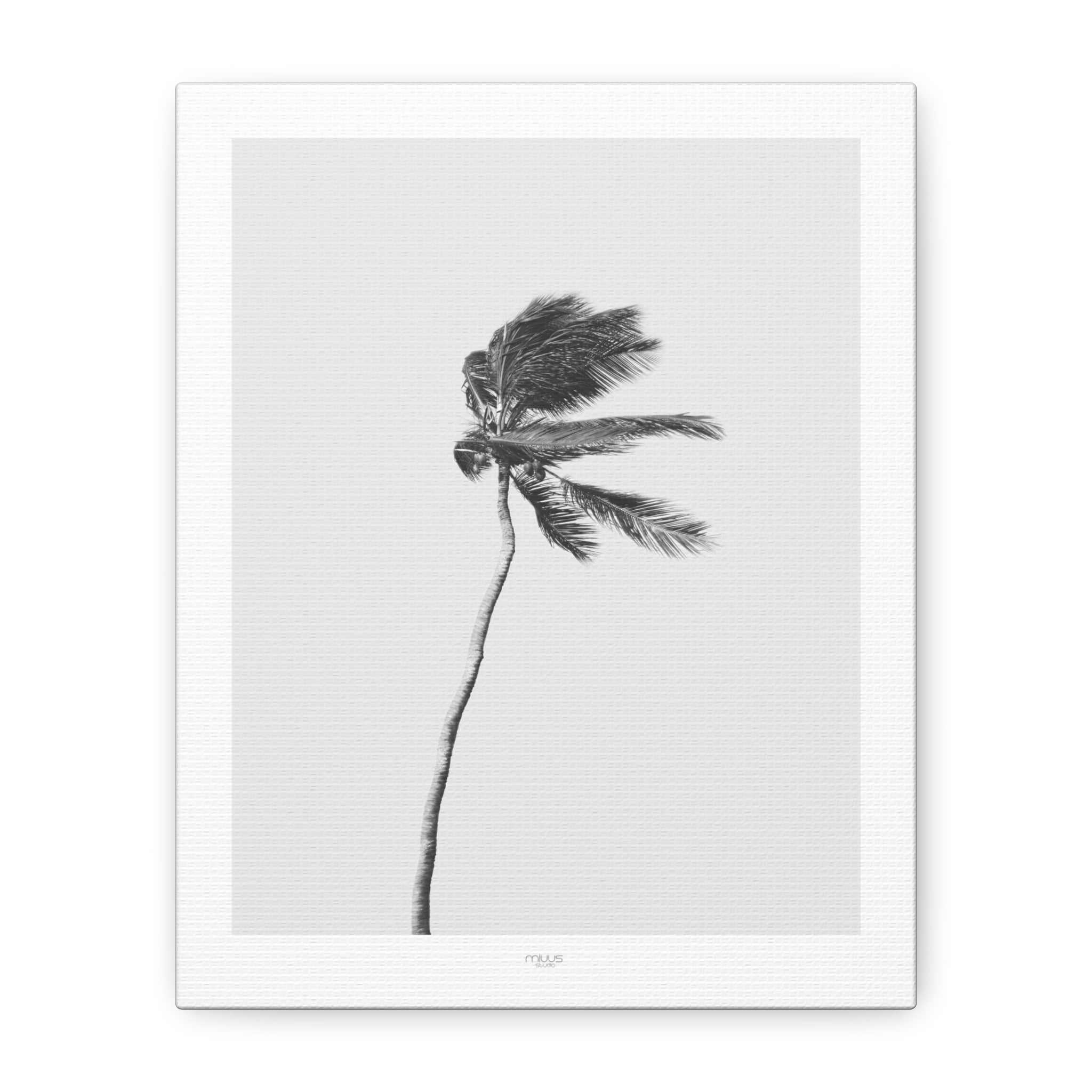 Coastal Silence Sway - Canvas