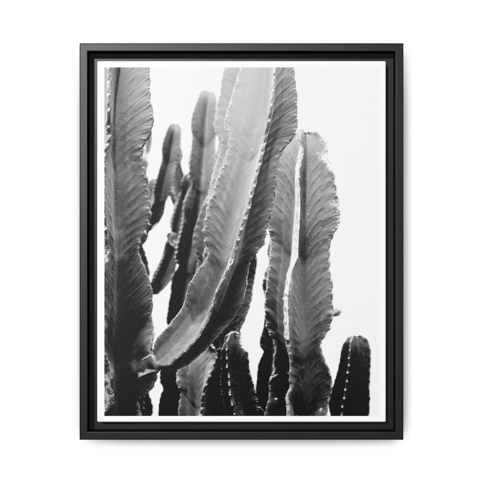 Monochrome Desert Veins - Framed