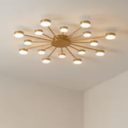 Jida Modern Ceiling Light